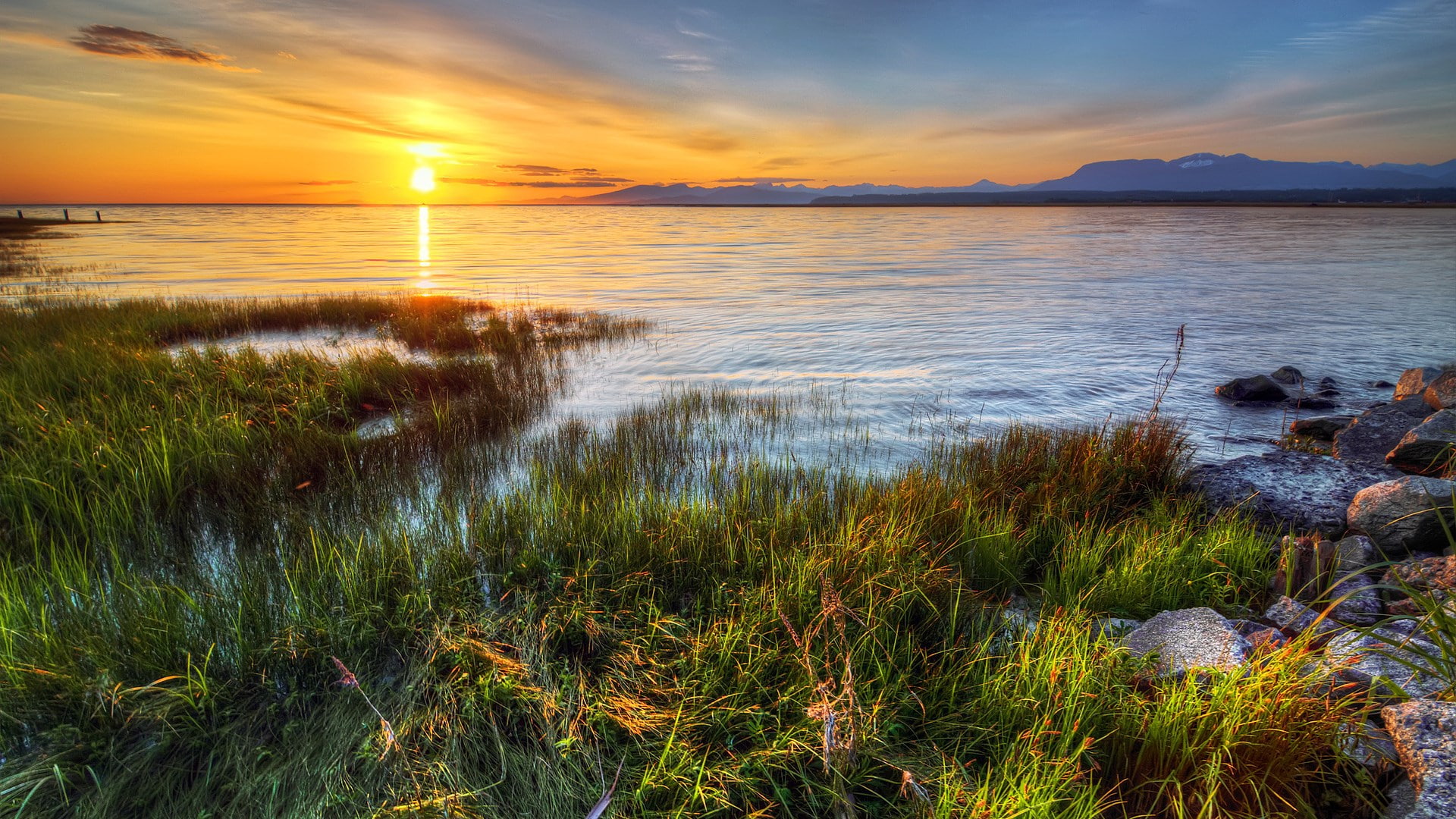 1080P, download nature background images 1920x1080, HD Wallpaper