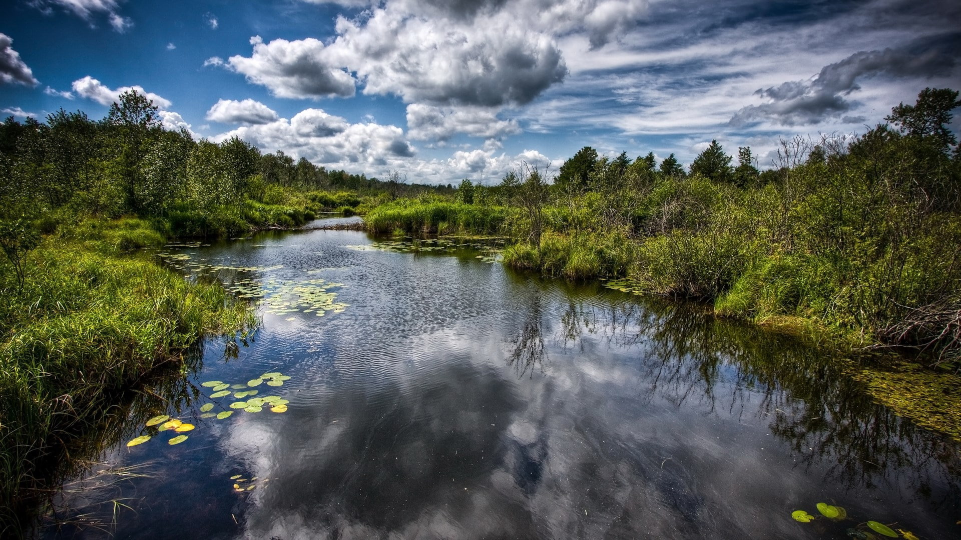 cloud - sky, land, scenics - nature, river, reflection, day, growth, 1080P, forest, sky, beauty in nature, outdoors, download nature background images 1920x1080, HD Wallpaper