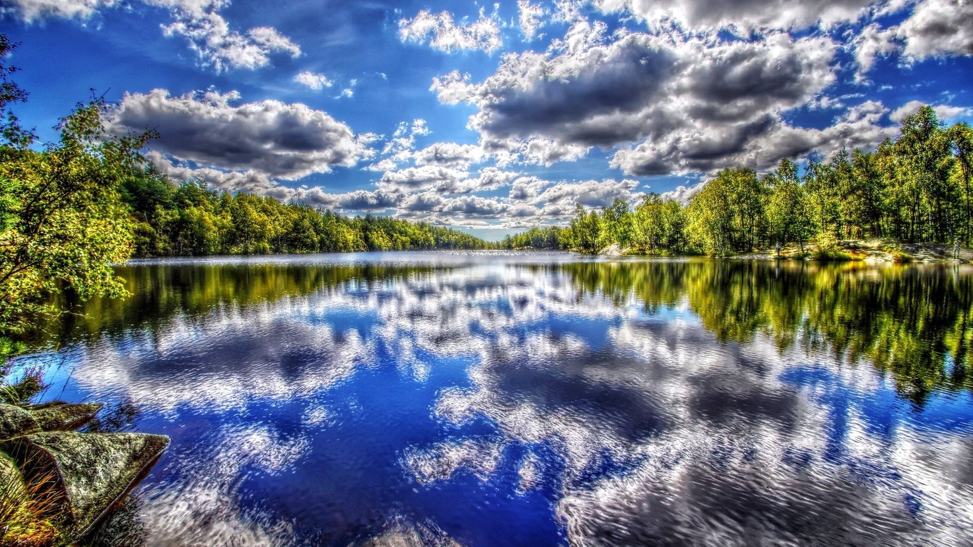 coniferous tree, tree, beauty in nature, non-urban scene, waterfront, forest, tranquility, download nature background images 1920x1080, sky, outdoors, 1080P, HD Wallpaper