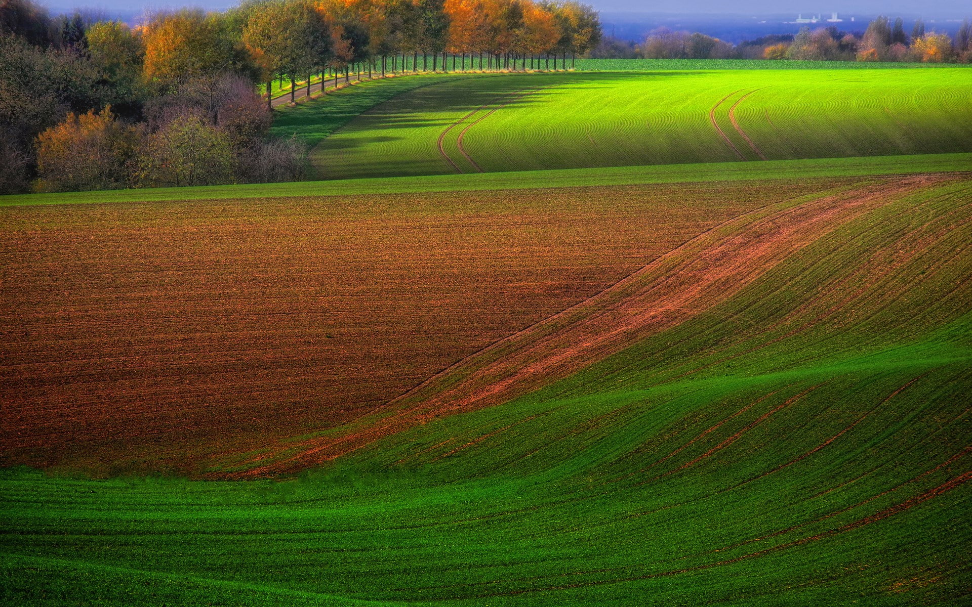 day, land, 1080P, grass, hd high resolution nature 1920x1200, plantation, no people, agriculture, tranquil scene, tree, nature, scenics - nature, environment, HD Wallpaper