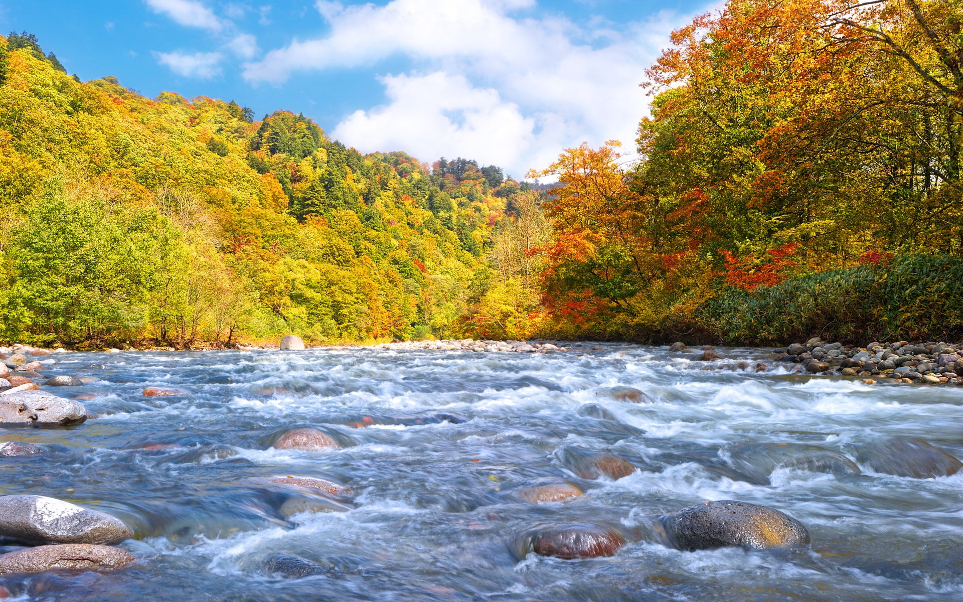 hd high resolution nature 1920x1200, 1080P, HD Wallpaper