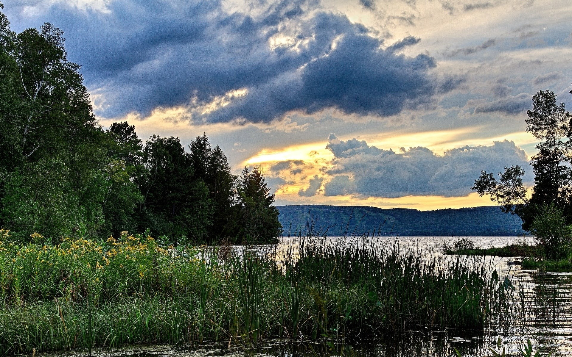 sunset, day, beauty in nature, tranquil scene, cloud - sky, sky, scenics - nature, nature, idyllic, tree, hd high resolution nature 1920x1200, 1080P, water, HD Wallpaper