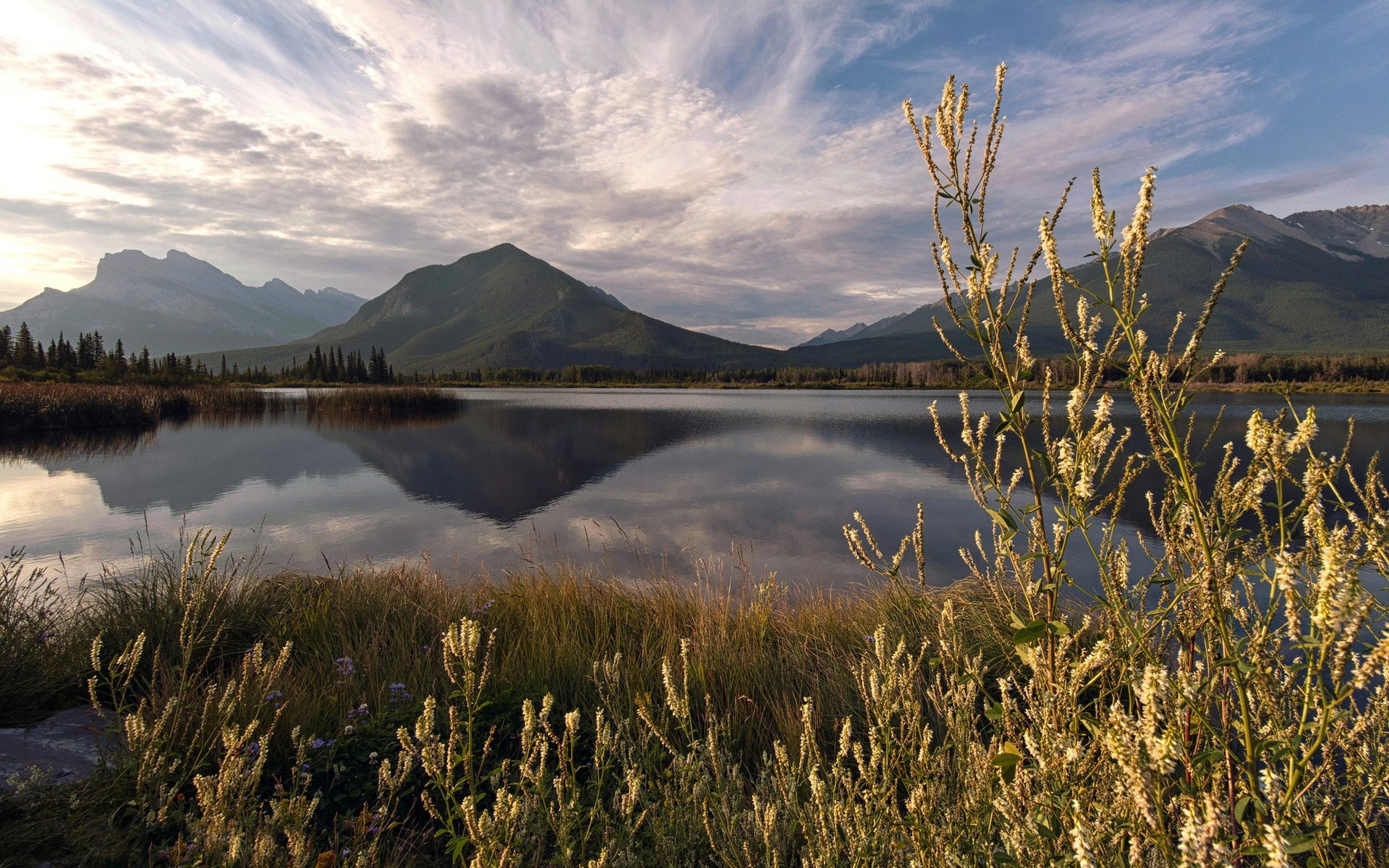 grass, plant, tranquil scene, sky, mountain range, no people, scenics - nature, idyllic, 1080P, outdoors, tranquility, beauty in nature, growth, non-urban scene, HD Wallpaper