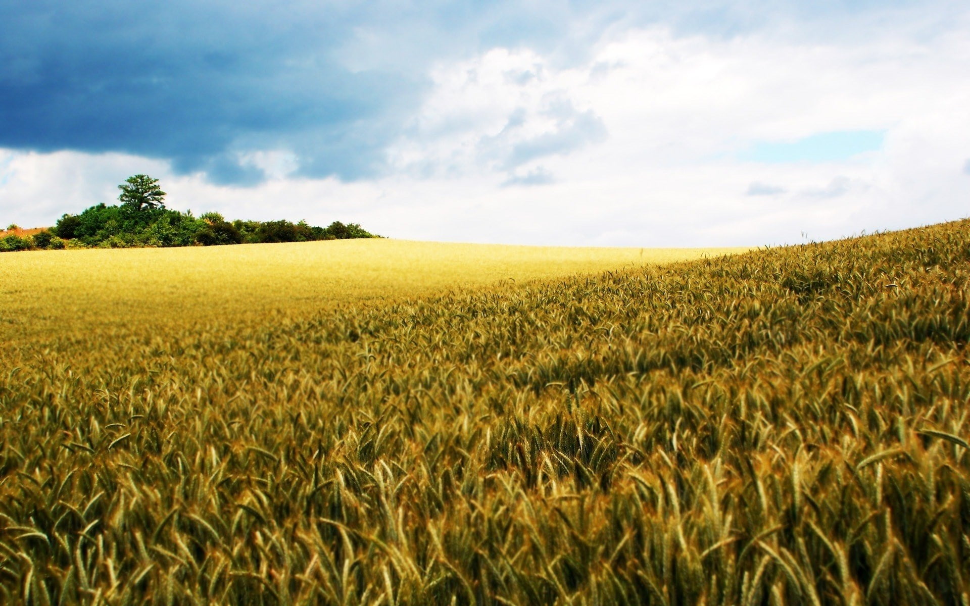1080P, widescreen high resolution nature hd images 1920x1200, HD Wallpaper