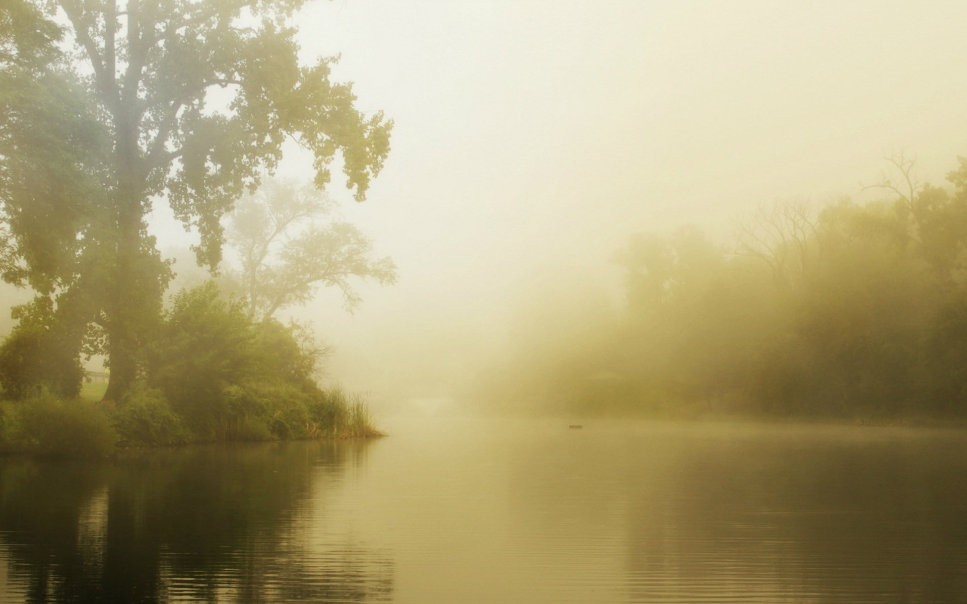 widescreen high resolution nature hd images 1920x1200, 1080P, HD Wallpaper