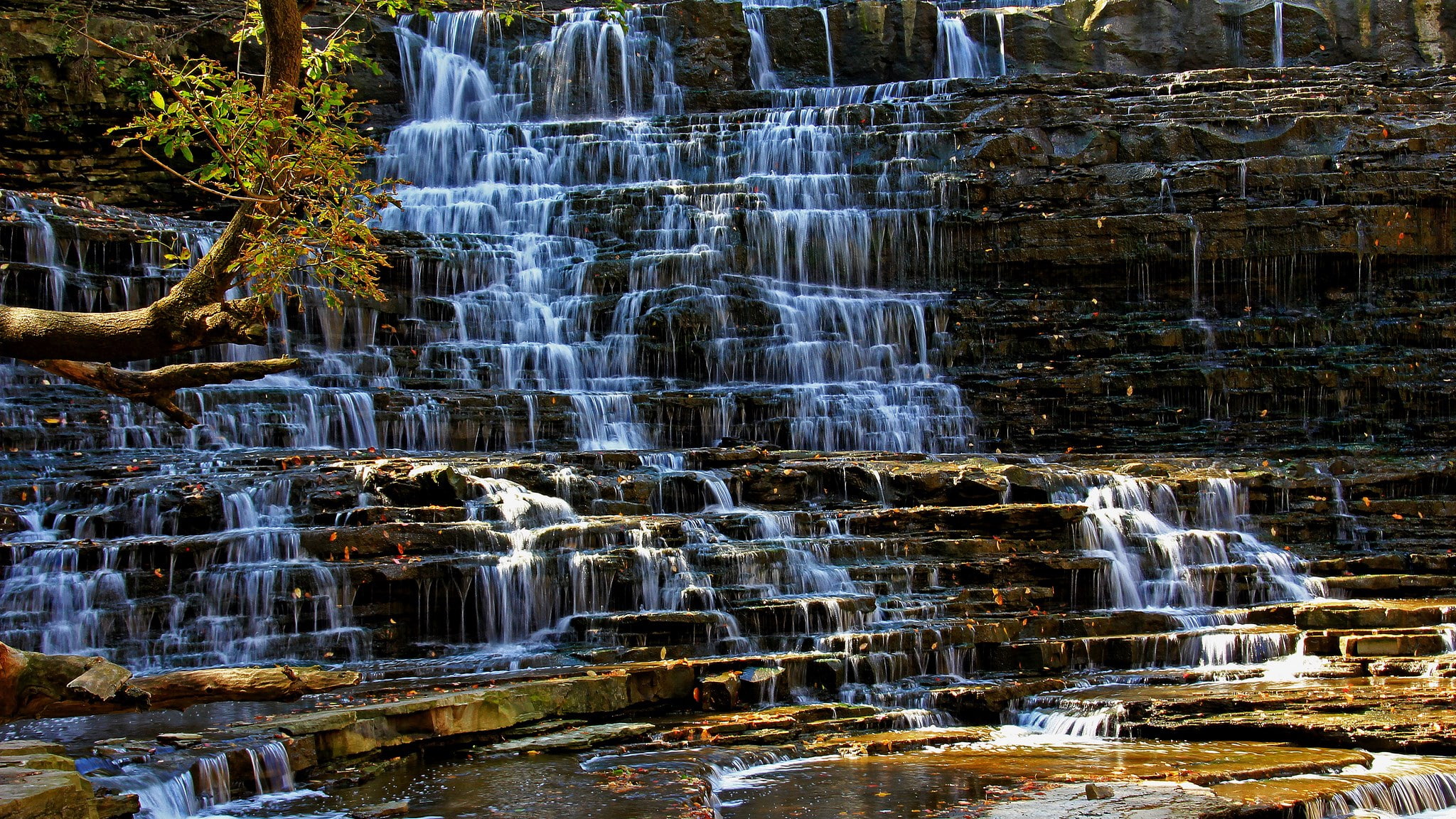 water, long exposure, scenics - nature, day, no people, flowing, forest, solid, stream - flowing water, flowing water, plant, icicle, motion, beauty in nature, HD Wallpaper