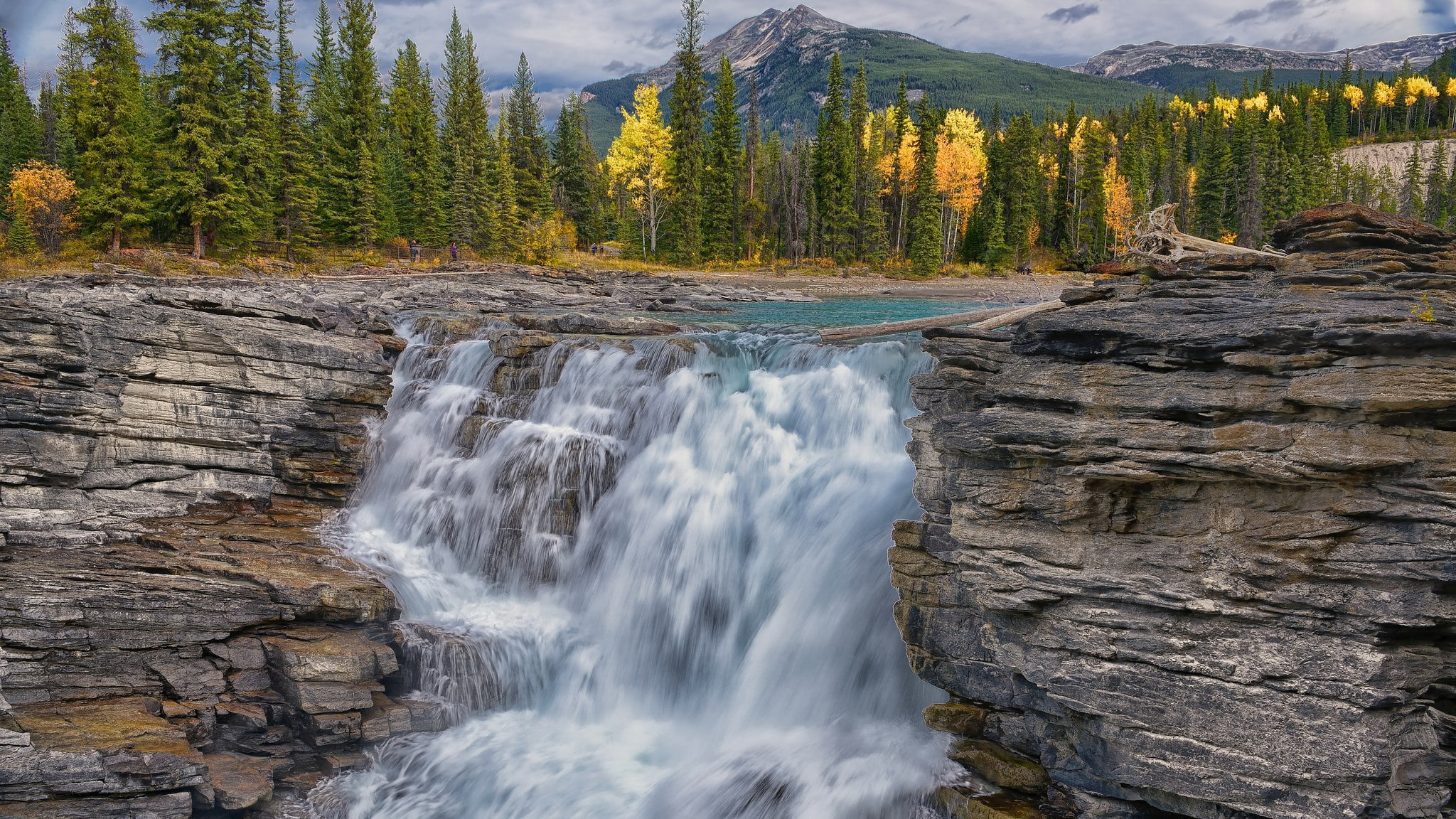 non-urban scene, water, rock, plant, waterfall, flowing, rock formation, forest, nature, tree, 1080P, motion, land, beauty in nature, power in nature, HD Wallpaper