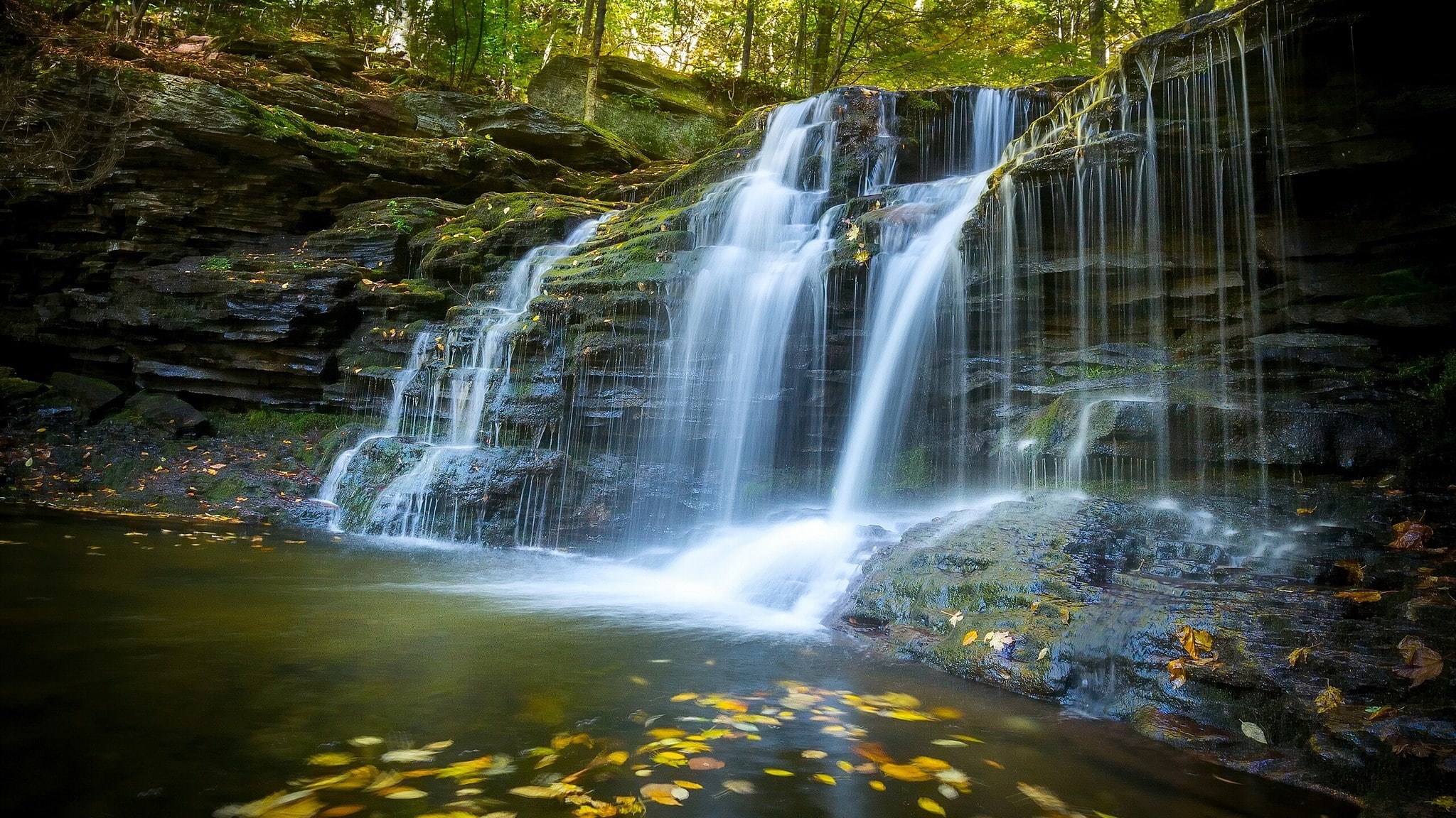 forest, 1080P, nature, motion, non-urban scene, flowing water, rock - object, flowing, plant, water, rock formation, long exposure, power in nature, rock, HD Wallpaper