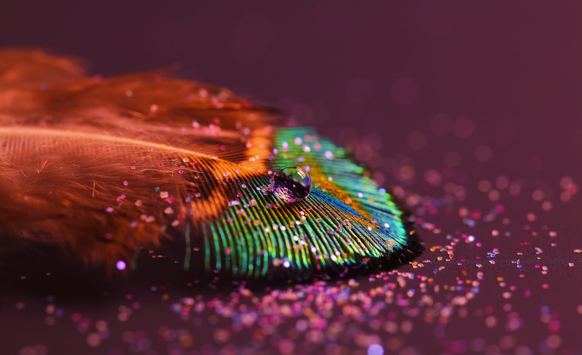 featherlight, fiber optic, electronics industry, green, motion, black background, selective focus, featherlight_nithinsuren, blue, feather, close-up, illuminated, HD Wallpaper