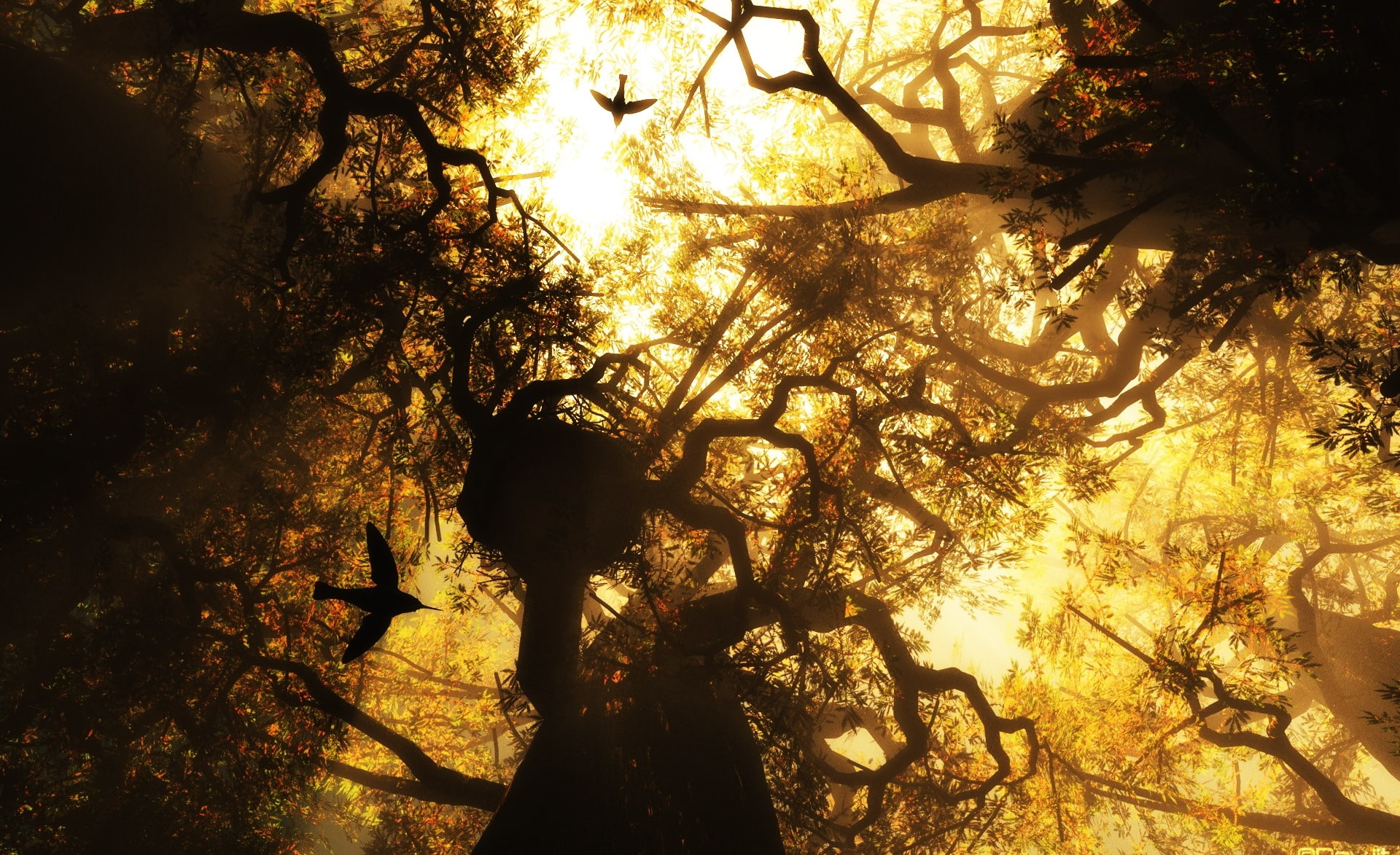 Fantasy, land, streaming, growth, outdoors, forest, tranquil scene, trunk, 1080P, beauty in nature, branch, nature, glow, tree canopy, plant part, low angle view, HD Wallpaper