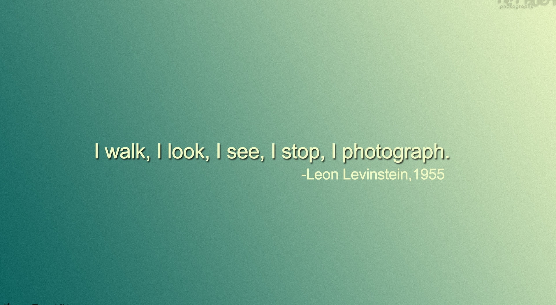 colored background, copy space, photography, leon levinstein, western script, communication, information, photography_nithinsuren, Quote, green background, HD Wallpaper