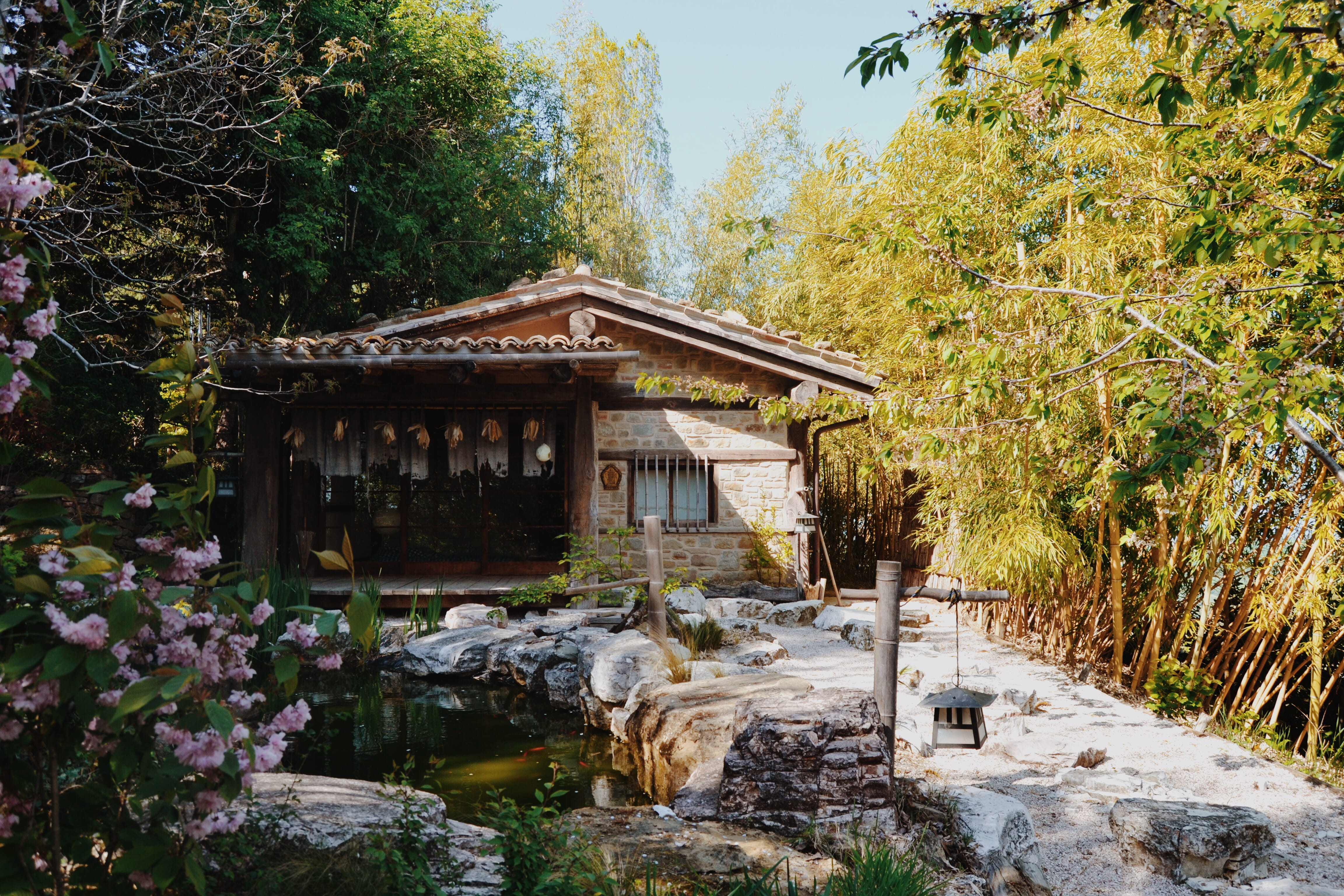blossom, flowing water, 4K, growth, solid, rock, no people, nature, building, japanese garden, green, water, built structure, day, chilling, plant, rushes, HD Wallpaper