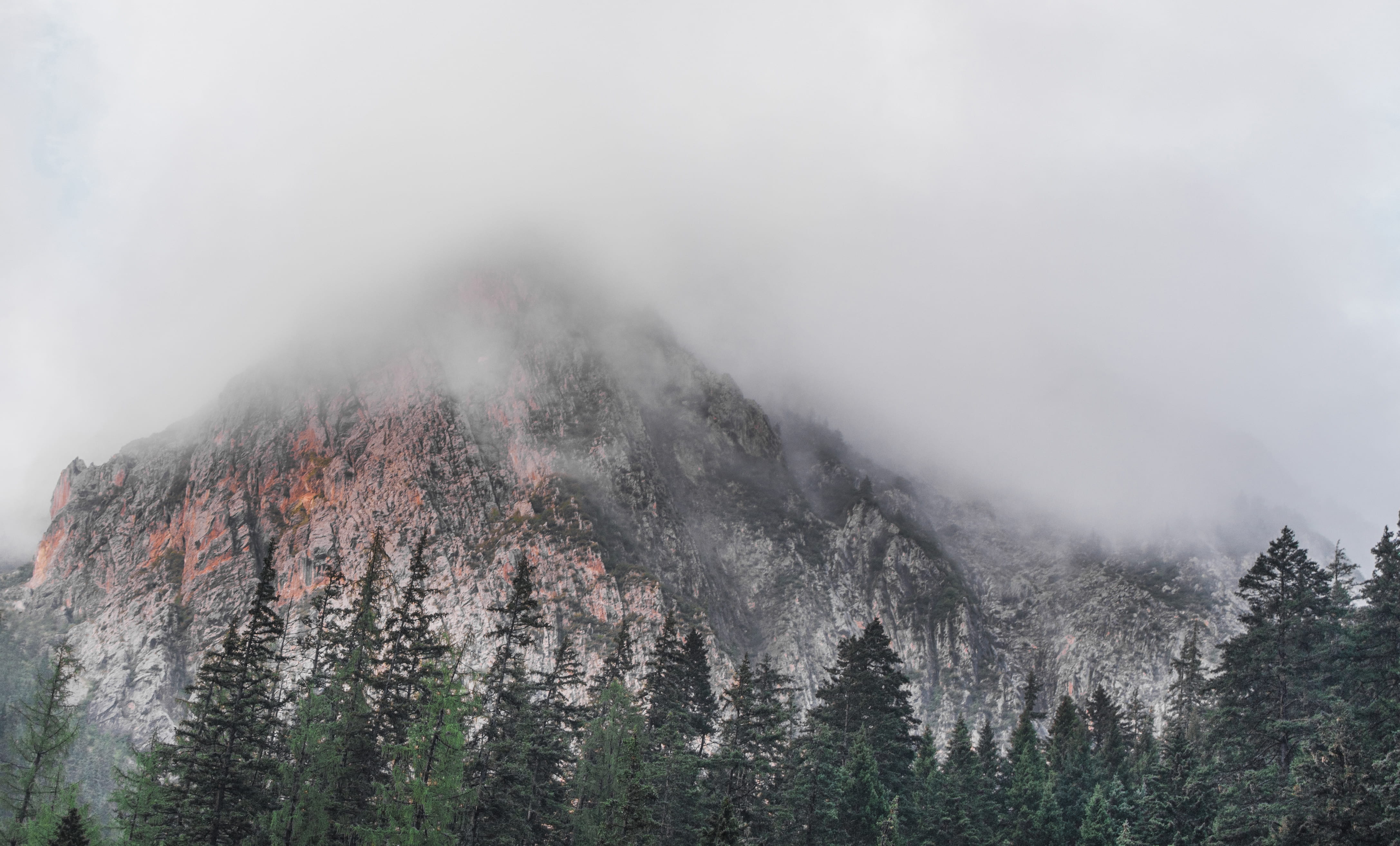 surrounded, sky, green, 4K, summit, plant, non-urban scene, gray, peak, nature, trees, evergreen tree, mountain range, mountain, mountain peak, environment, HD Wallpaper