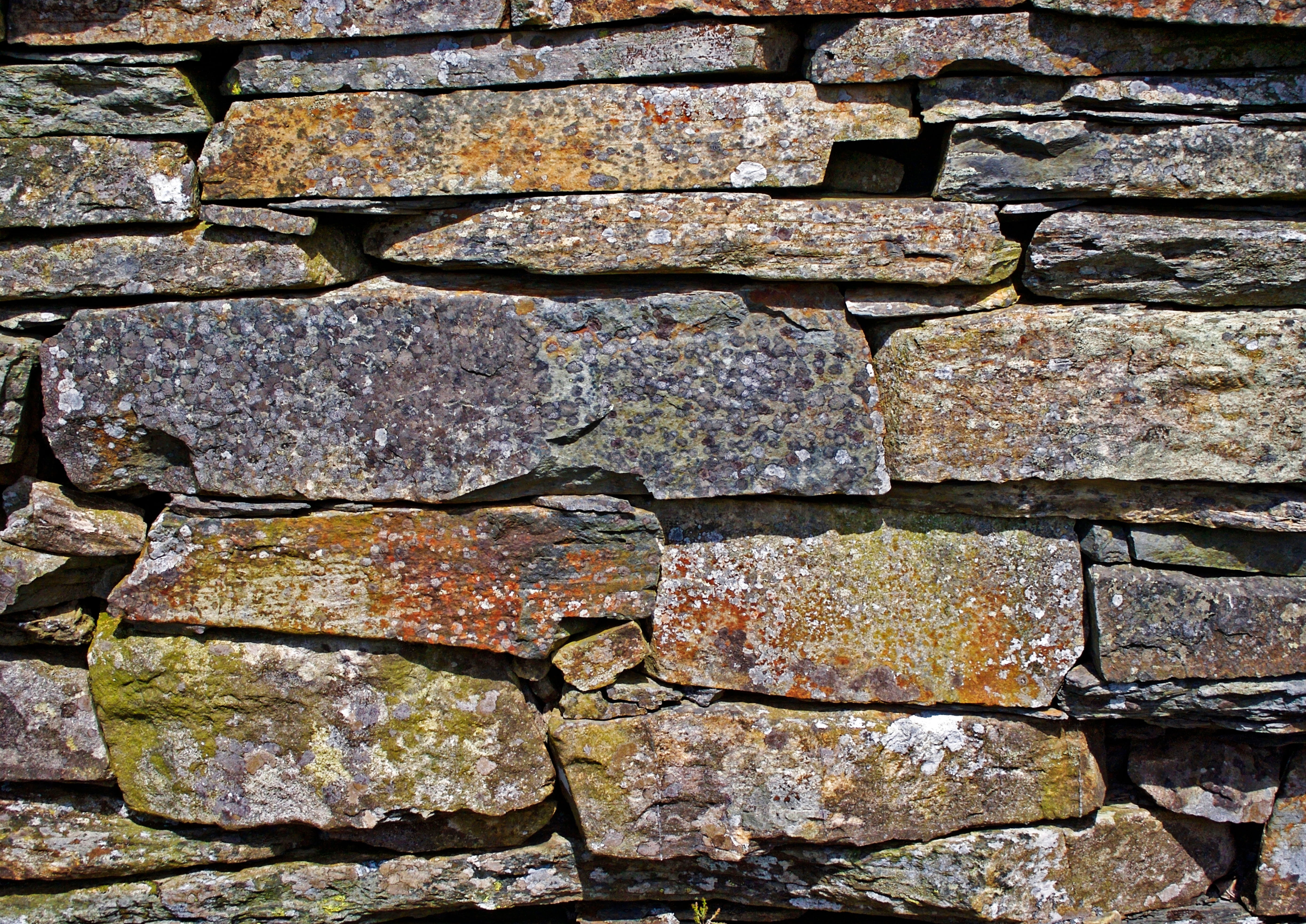 slate, solid, backdrop, slate wall, slate background, weathered, 5K, grey, textured, wall background, stone material, moss, old, brick wall, architecture, HD Wallpaper