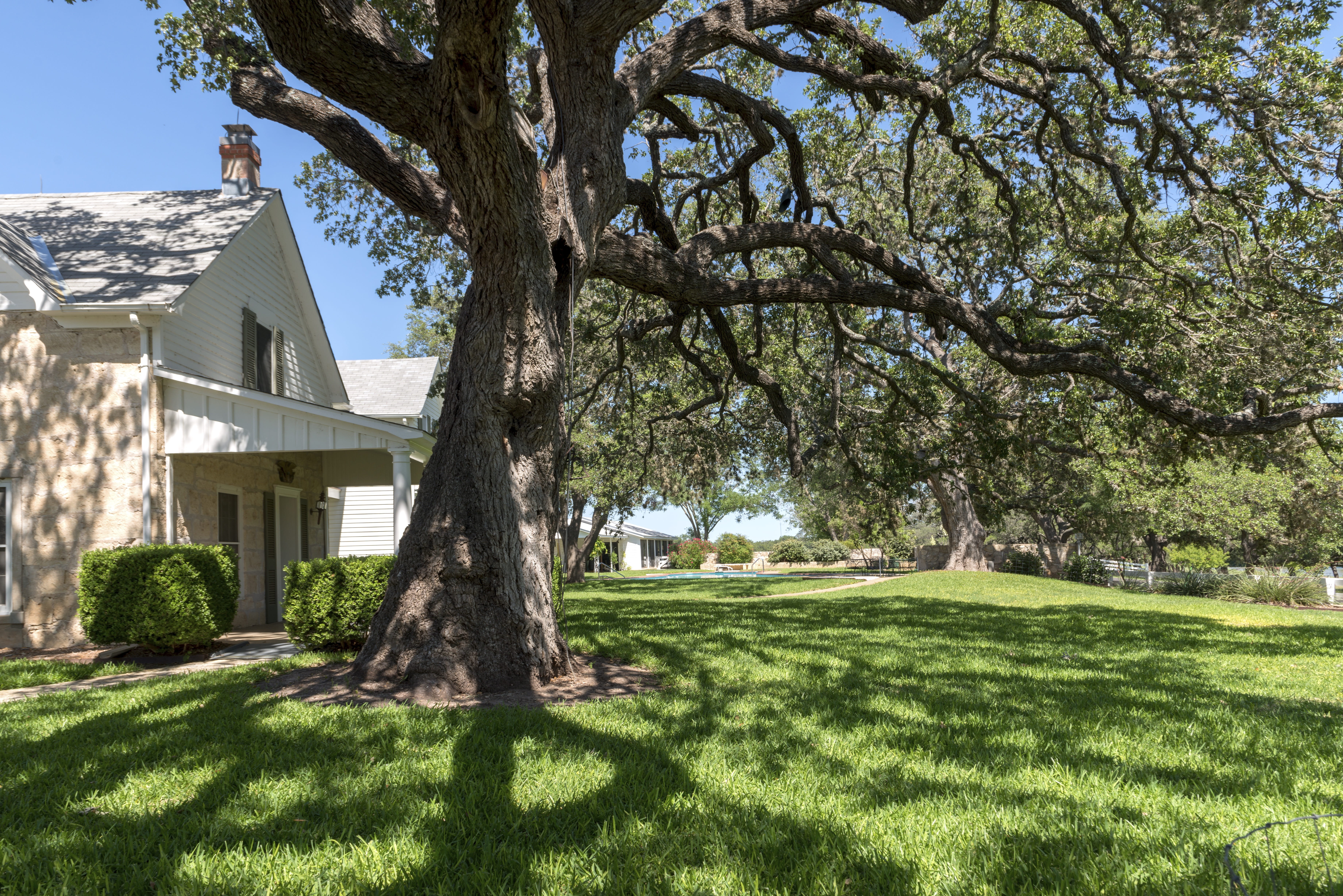 Villa, america, no people, property, landmark, growth, Building, historically, tree trunk, green color, nature, trunk, texas, Architecture, house, old villa, HD Wallpaper