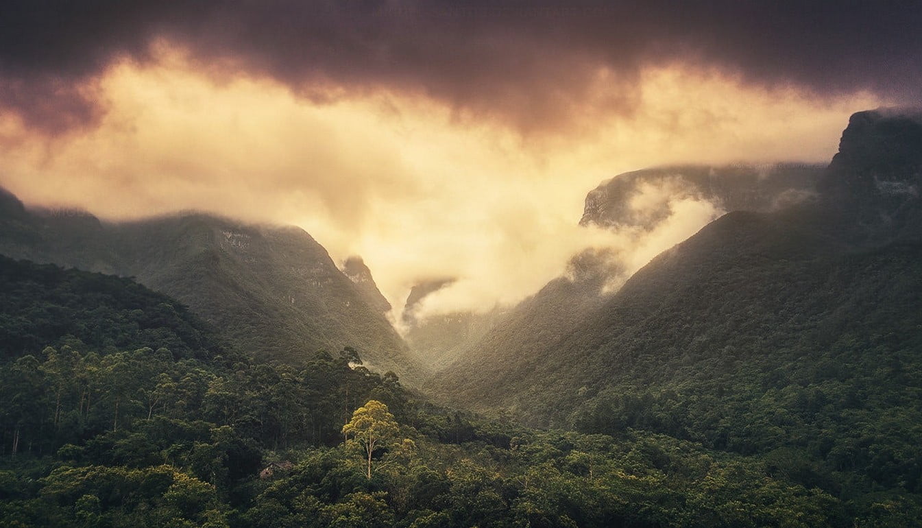 Brazil, mountains, tree, outdoors, landscape, beauty in nature, mountain, travel destinations, environment, nature, land, plant, tranquility, 720P, fog, HD Wallpaper