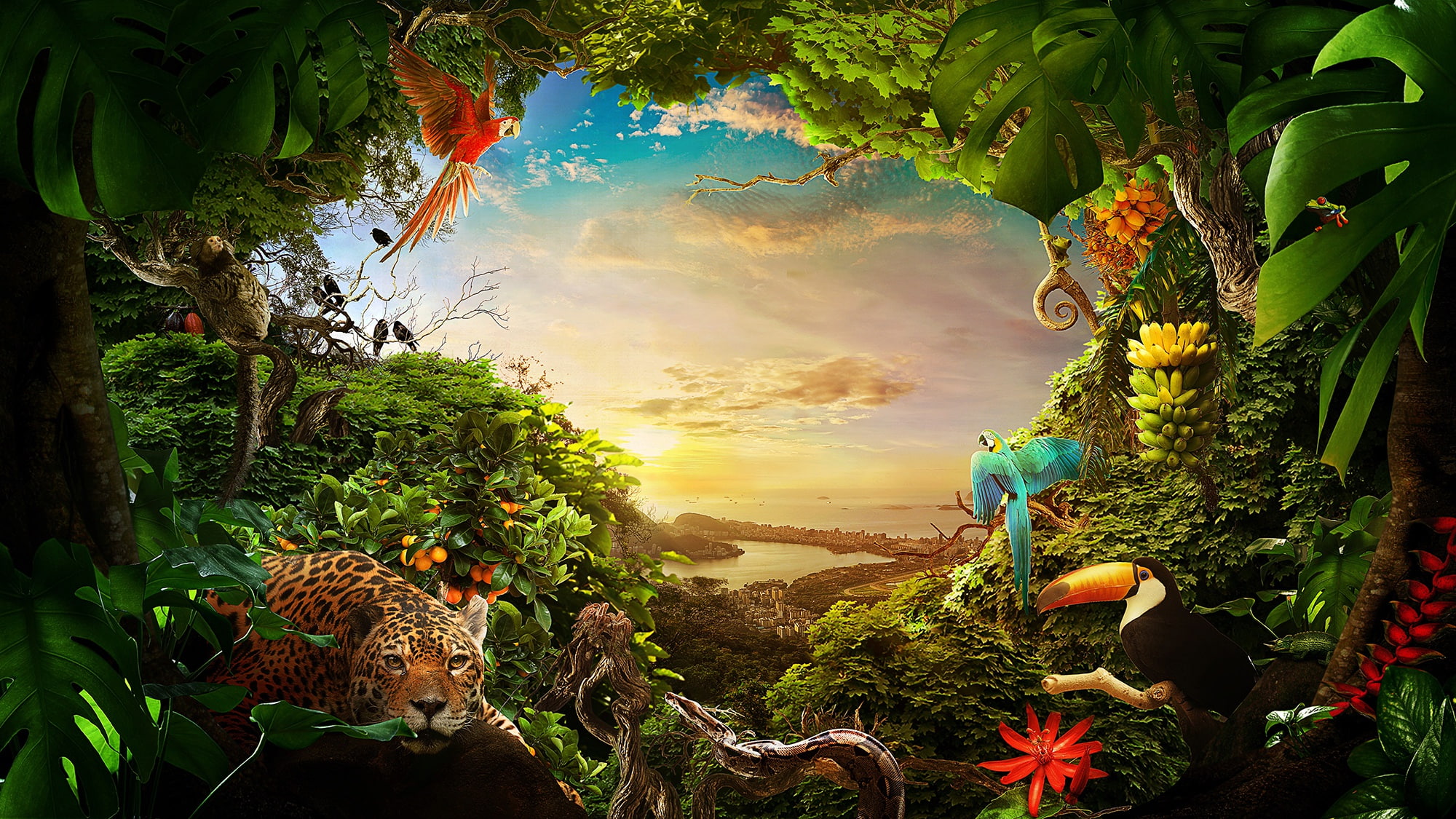 coast, jungle, forest, sea, snake, landscape, frogs, 1080P, the city, parrots, birds, trees, animals, Toucan, greens, leopard, HD Wallpaper