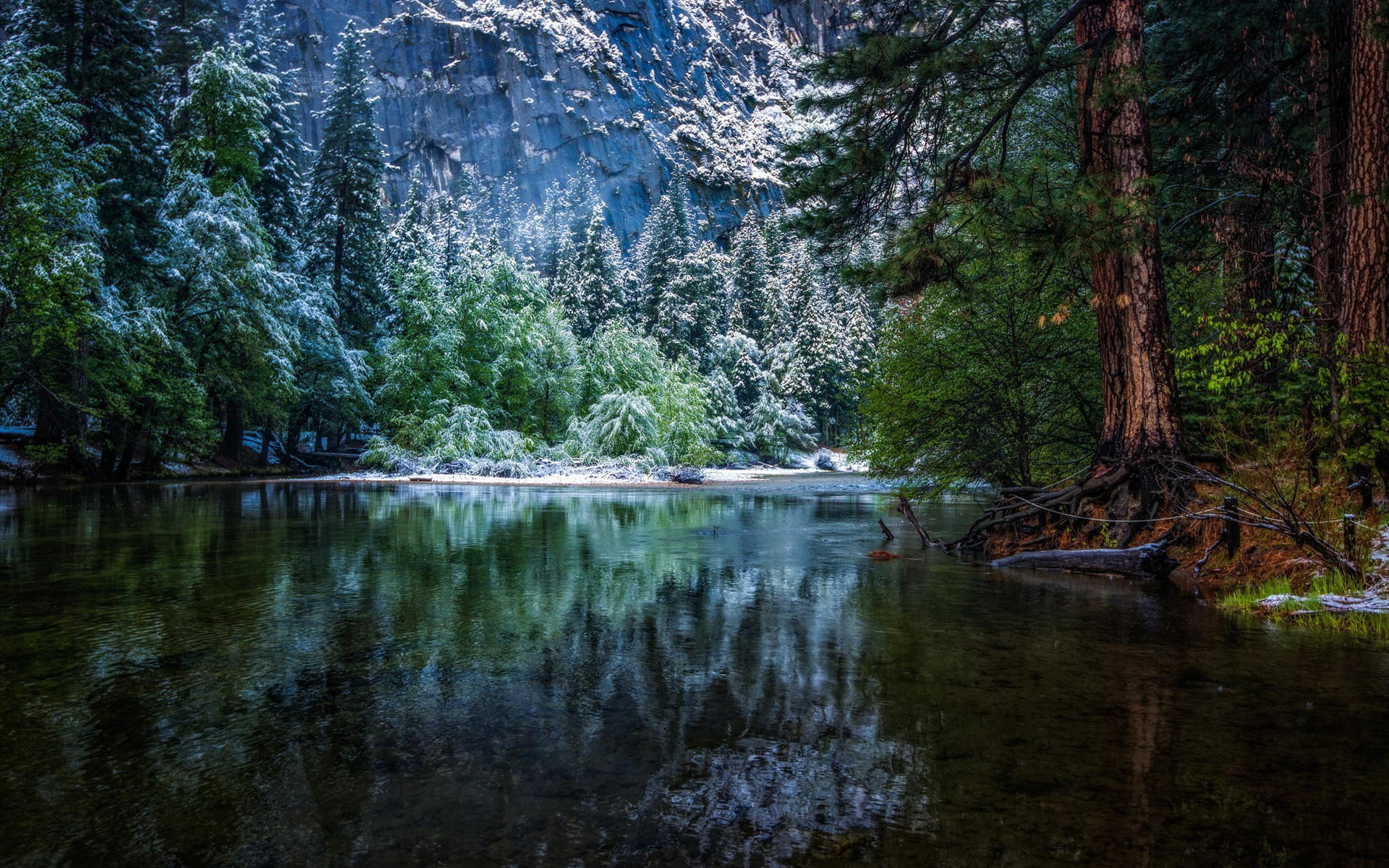 1080P, National, Forest, River, Winter, Park, Landscape, Nature, HD Wallpaper