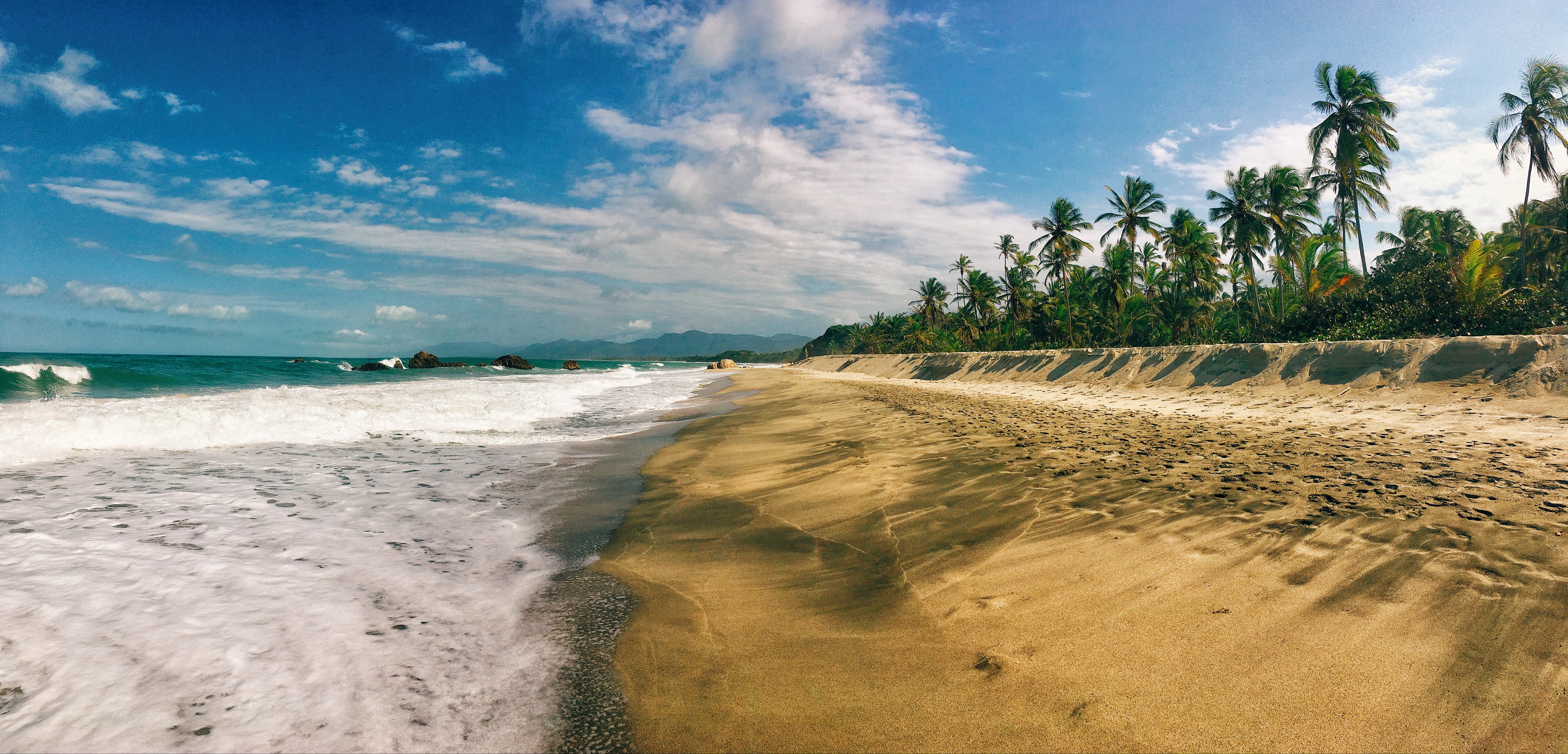 5K, plant, sea, land, tree, wave, summer, ocean, tropical, beach, sky, tropical tree, beauty in nature, no people, caribbean, tropical climate, palm tree, HD Wallpaper