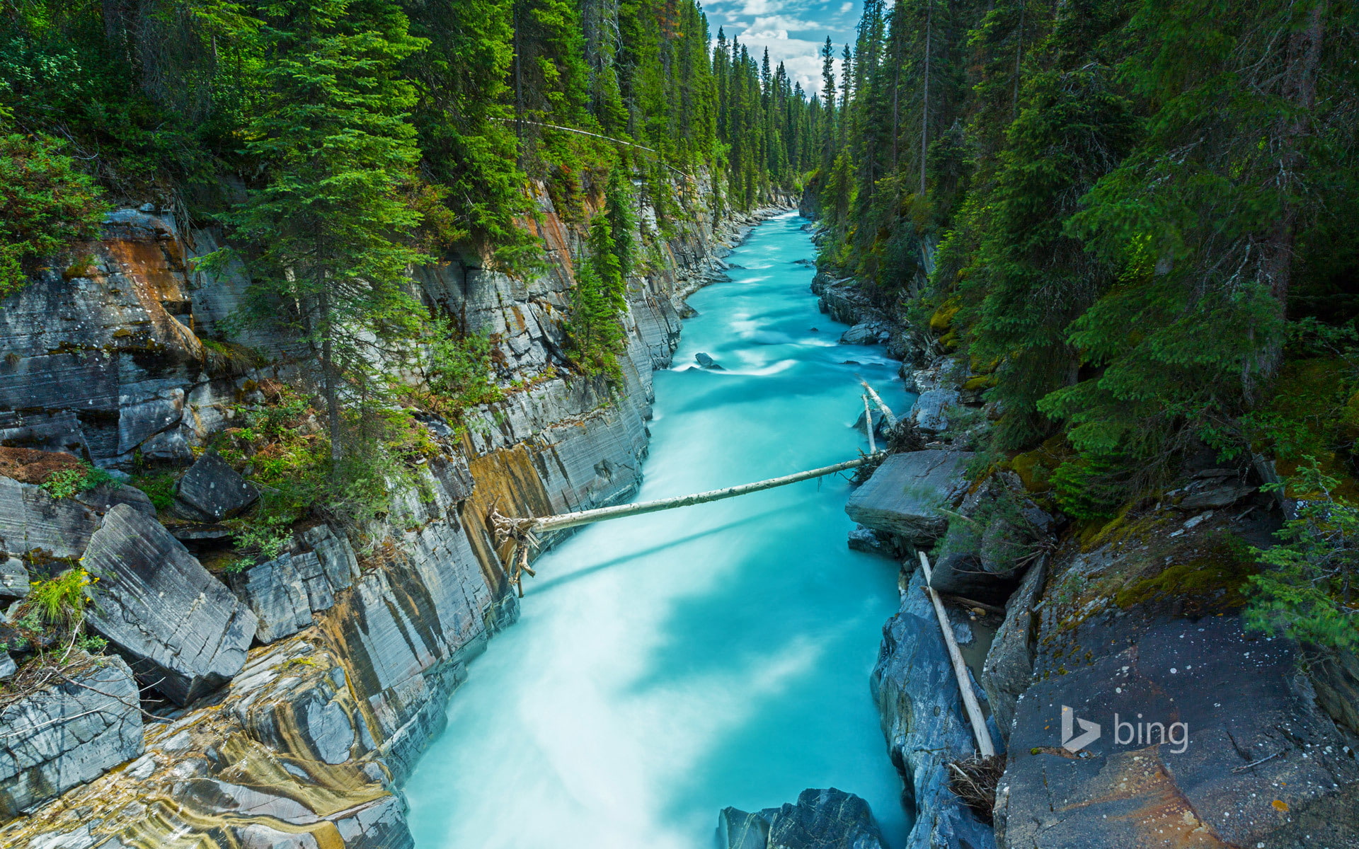 British Columbia, National Park, 1080P, rocks, river, forest, NUMA Falls, Canada, HD Wallpaper