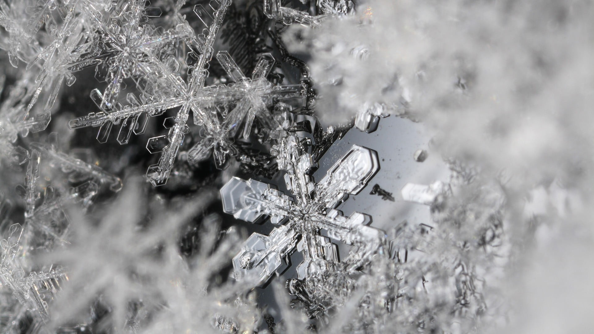christmas decoration, decoration, outdoors, winter, snow, 1080P, no people, blizzard, christmas ornament, nature, selective focus, crystal, celebration, HD Wallpaper