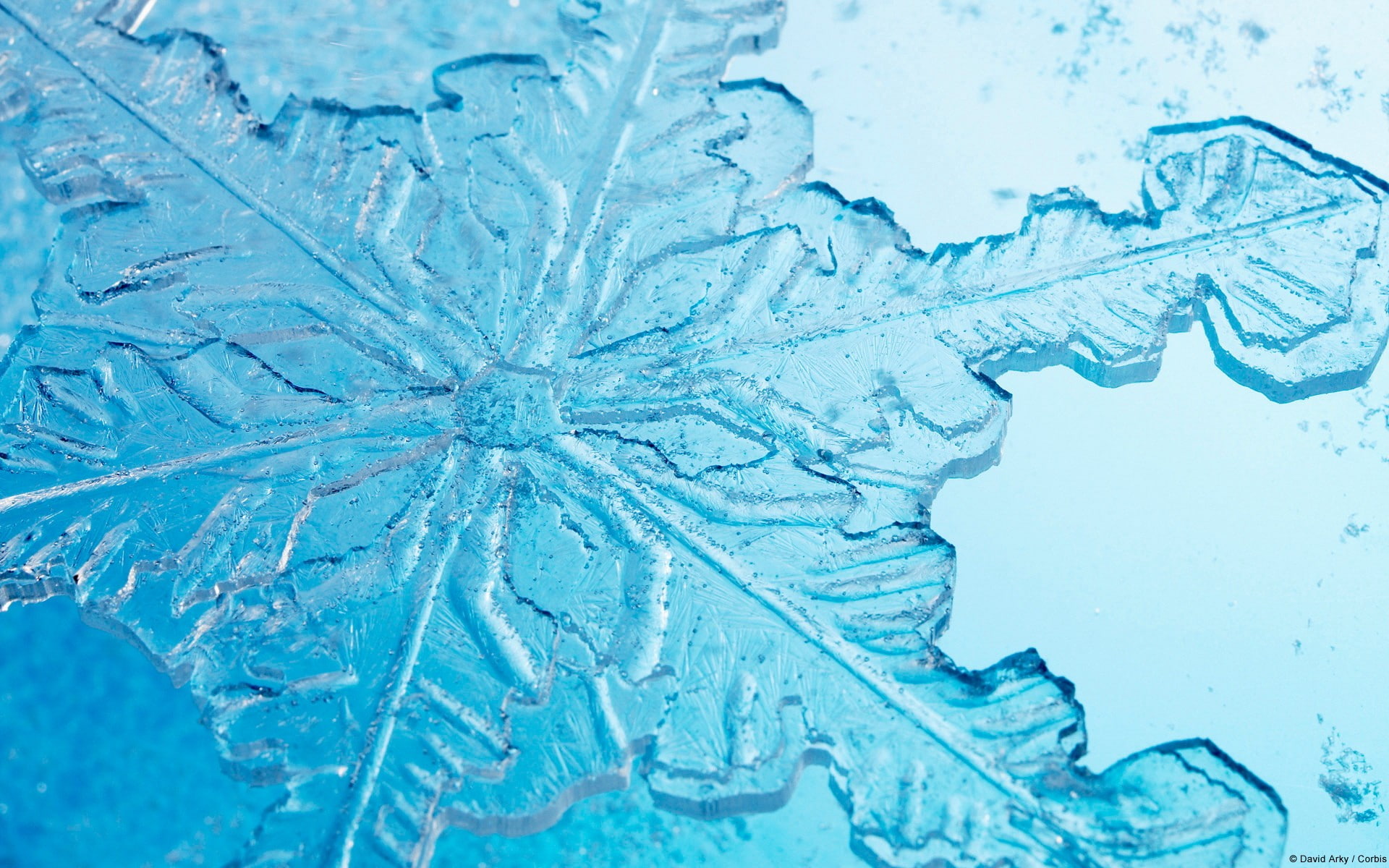 blue, pattern, snow, crystal, glass - material, cold temperature, frost, snowflakes, abstract, 1080P, frozen, winter, macro, water, nature, no people, HD Wallpaper