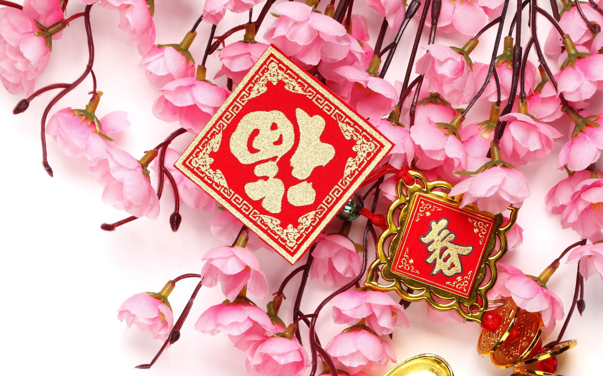 communication, flower head, flowering plant, petaled, plant, year, event, flower, 2K, pink color, festival, new, springtime, chinese new year, flowers, HD Wallpaper