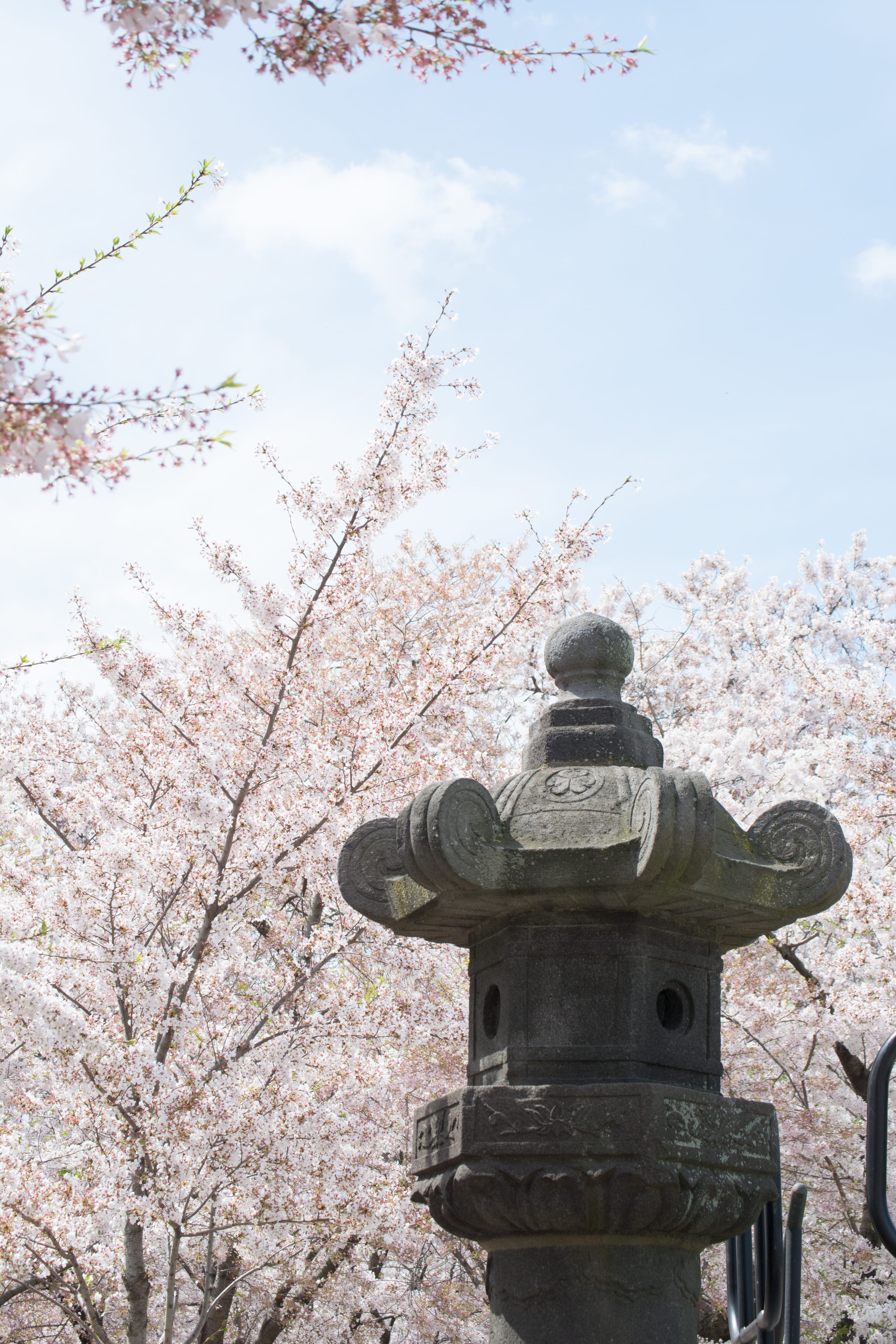 tree, sky, machine, petal, plant, growth, flowers, cherry blossoms, cloud - sky, belief, statue, sculpture, festival, no people, fire hydrant, art and craft, Phone HD Wallpaper