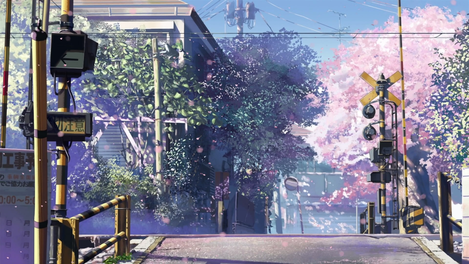 1080P, cherry blossom, 5 Centimeters Per Second, HD Wallpaper