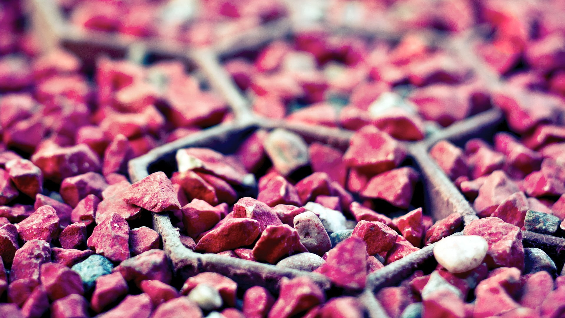 macro, pebbles, 1080P, stones, HD Wallpaper