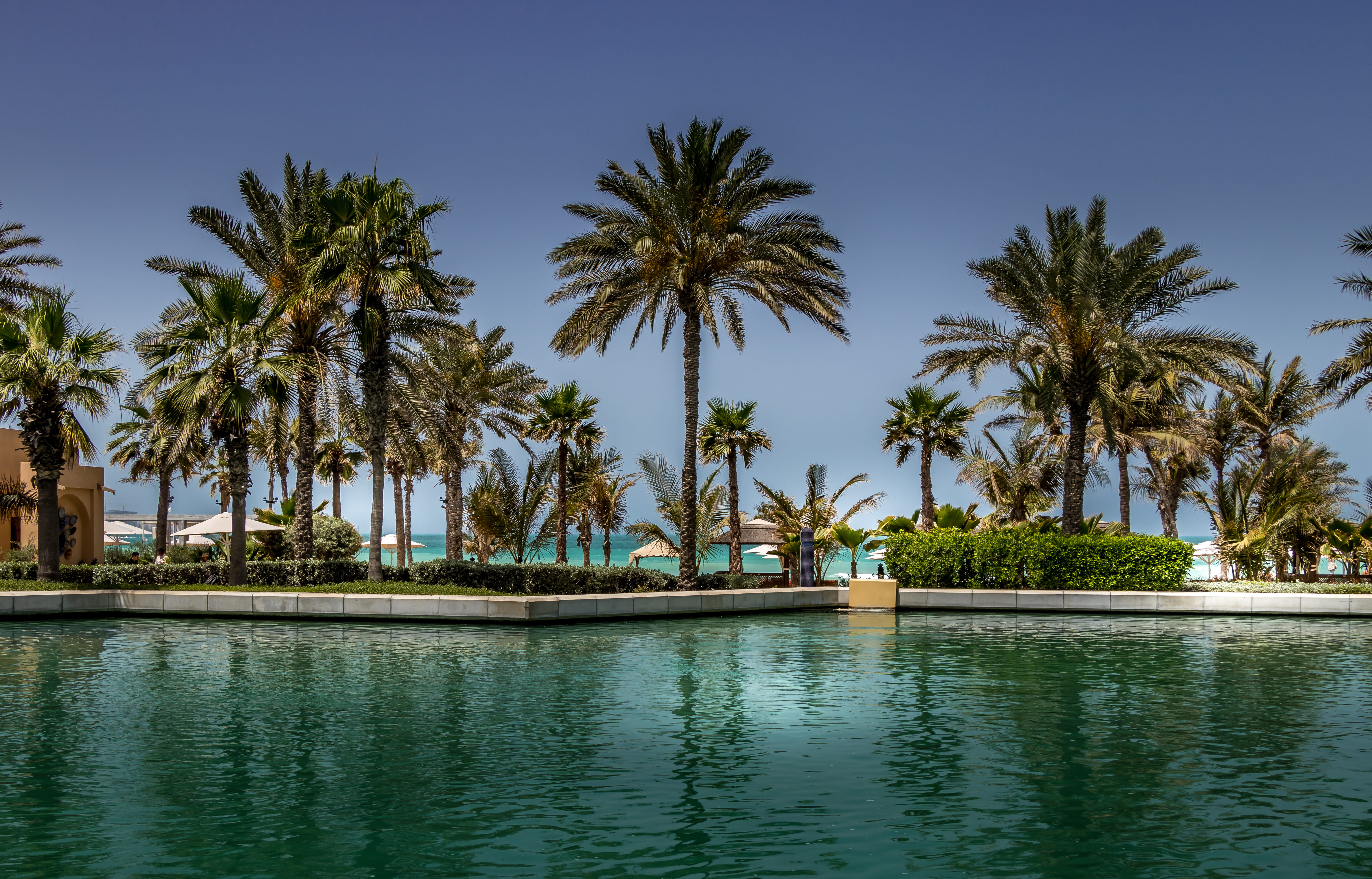 amazing, date palm tree, no people, luxury, palms, trees, summertime, ocean, blue, tranquility, tropical climate, water, scenics - nature, green, vacation, HD Wallpaper
