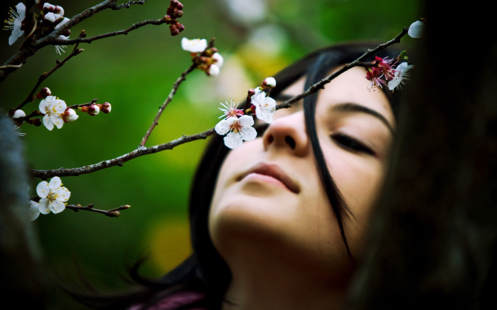 twigs, 1080P, flowers, white flowers, women, HD Wallpaper