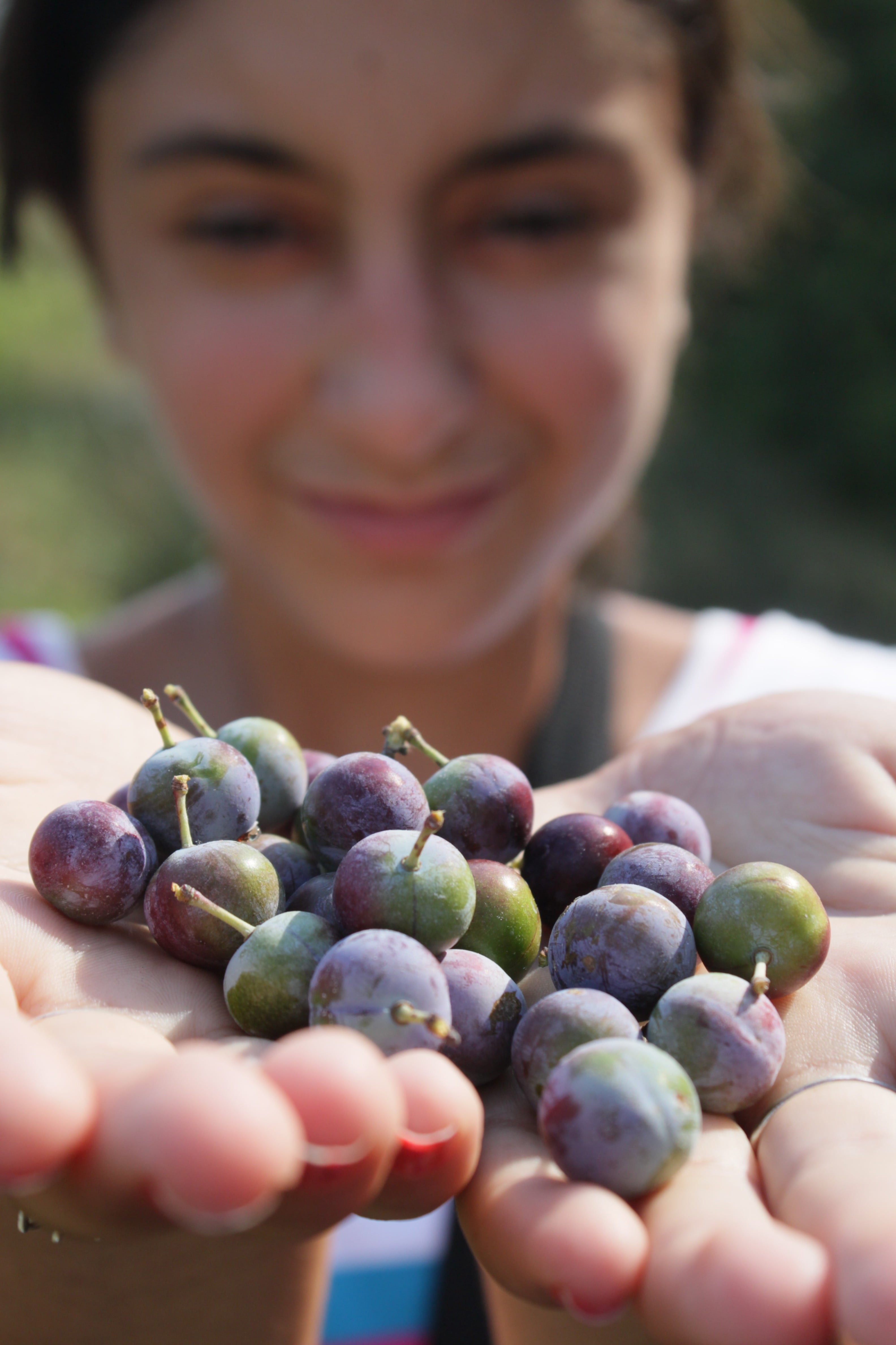 leisure activity, fruit, girl, holding, hand, one person, prunus, selective focus, human hand, ripe, headshot, real people, blue, blackthorn, 4K, human body part, Phone HD Wallpaper