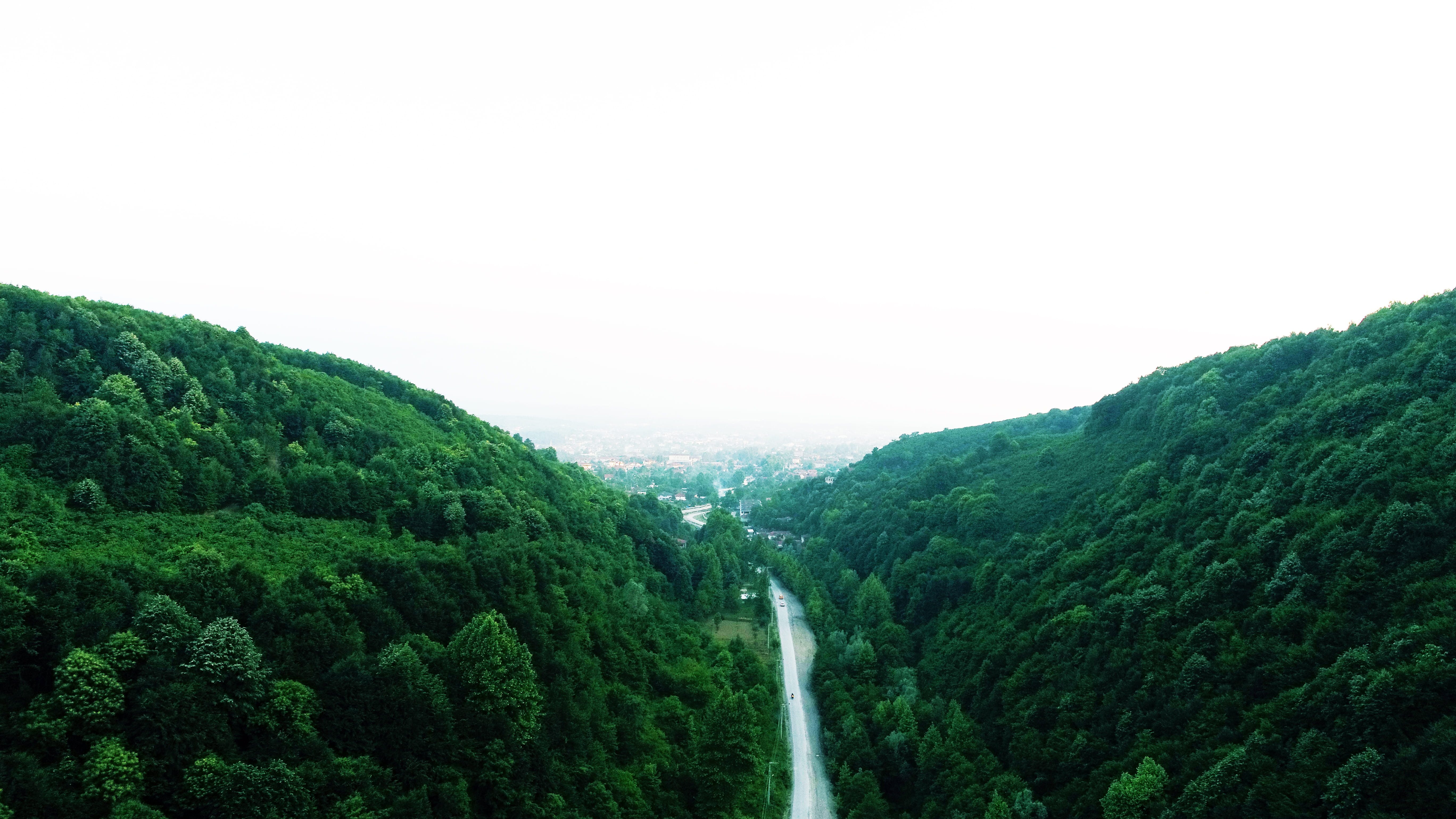 5K, non-urban scene, no people, tranquility, foliage, scenics - nature, green color, beauty in nature, sakarya, land, tree, forest, türkiye, sky, day, HD Wallpaper