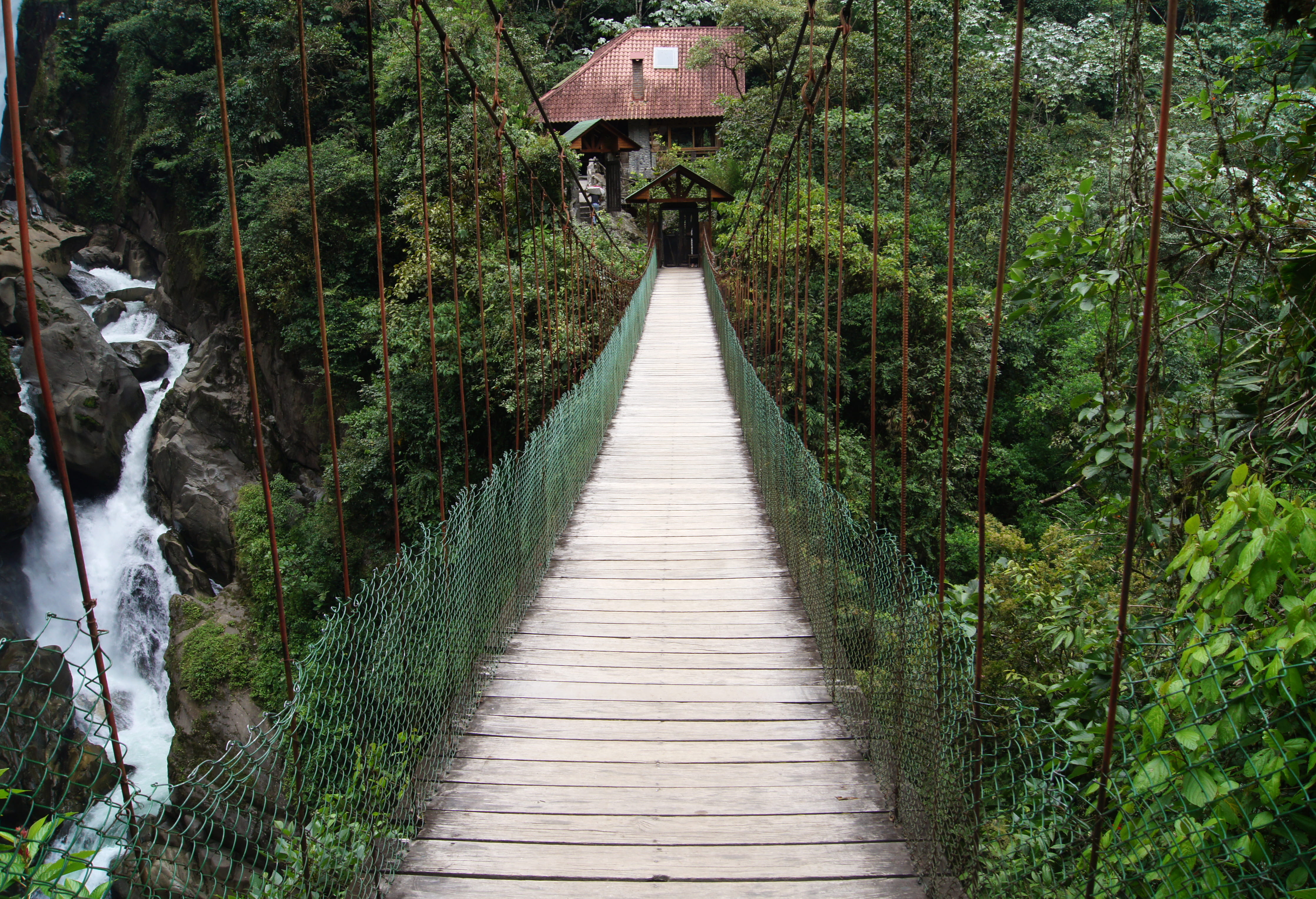 footpath, banos, growth, nature, ecuador, connection, diminishing perspective, direction, trees, beauty in nature, outdoors, bridge - man made structure, HD Wallpaper