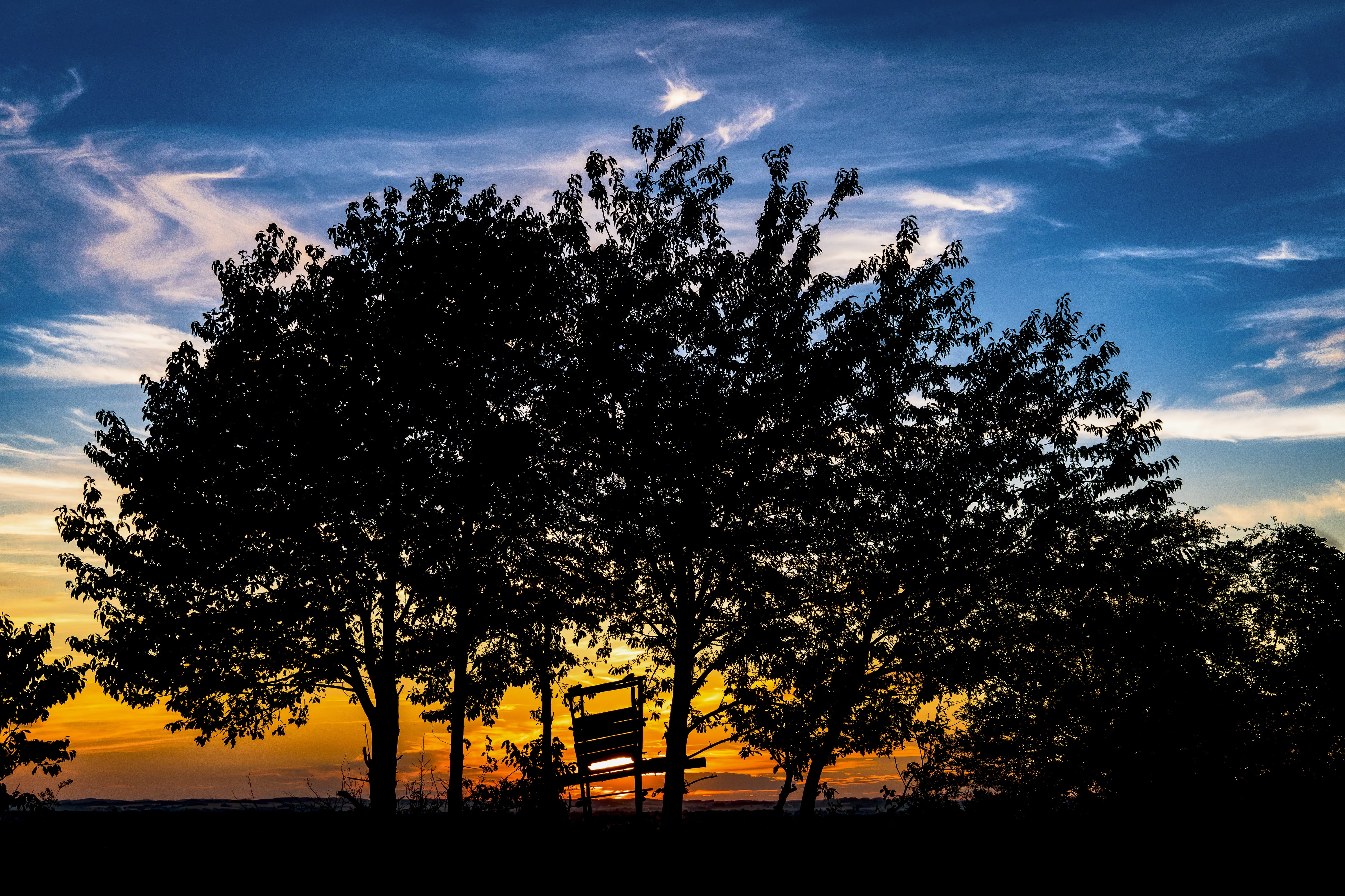 trees, hunt, nature, no people, abendstimmung, field, blue, scenics - nature, yellow, tranquil scene, cloud - sky, Treehouse, growth, hunting, overview, HD Wallpaper
