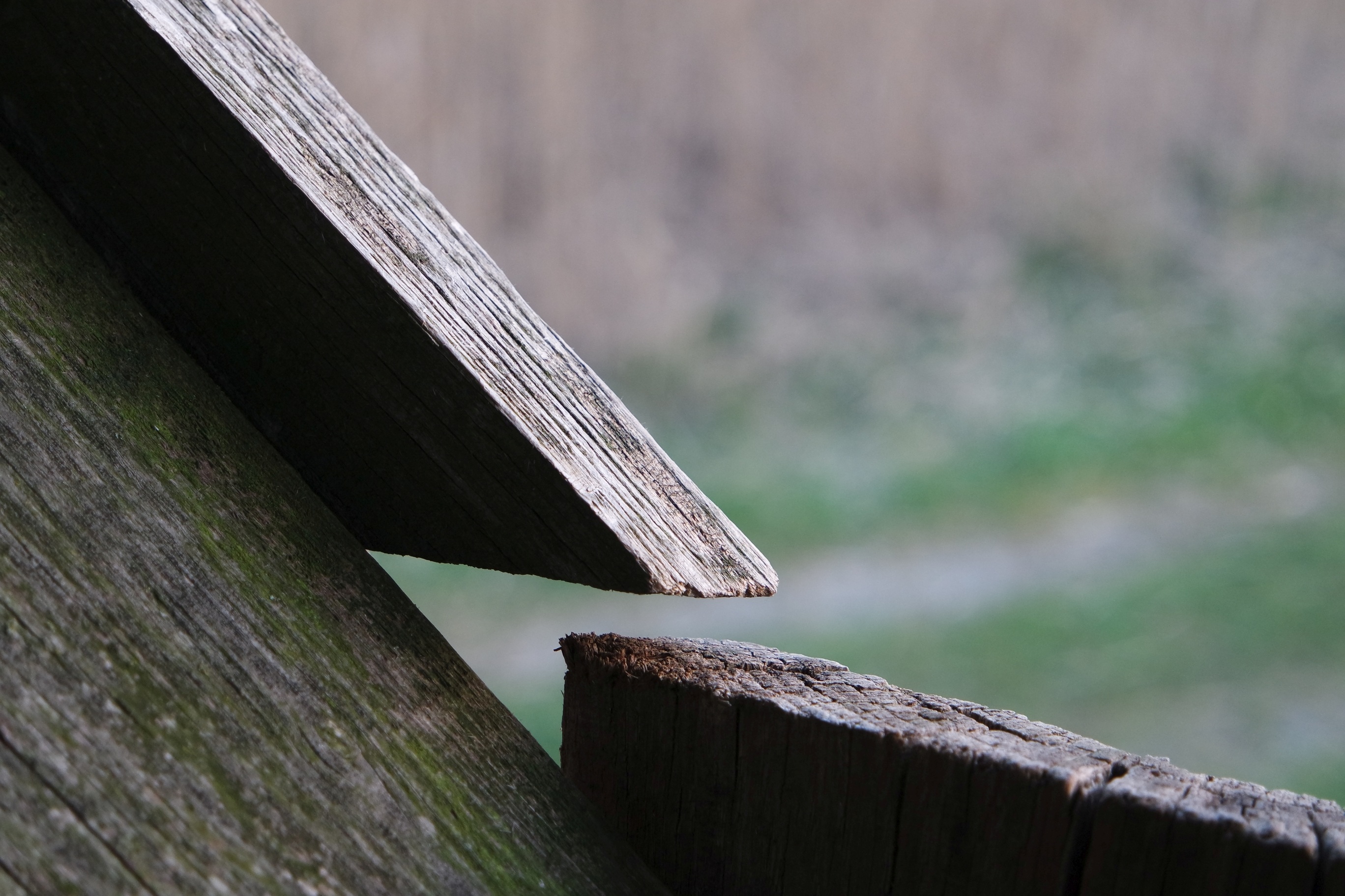 tree, wooden post, day, environment, forest, cracked, wood, close-up, plank, fuel and power generation, fence, outdoors, view, no people, boundary, 2K, HD Wallpaper