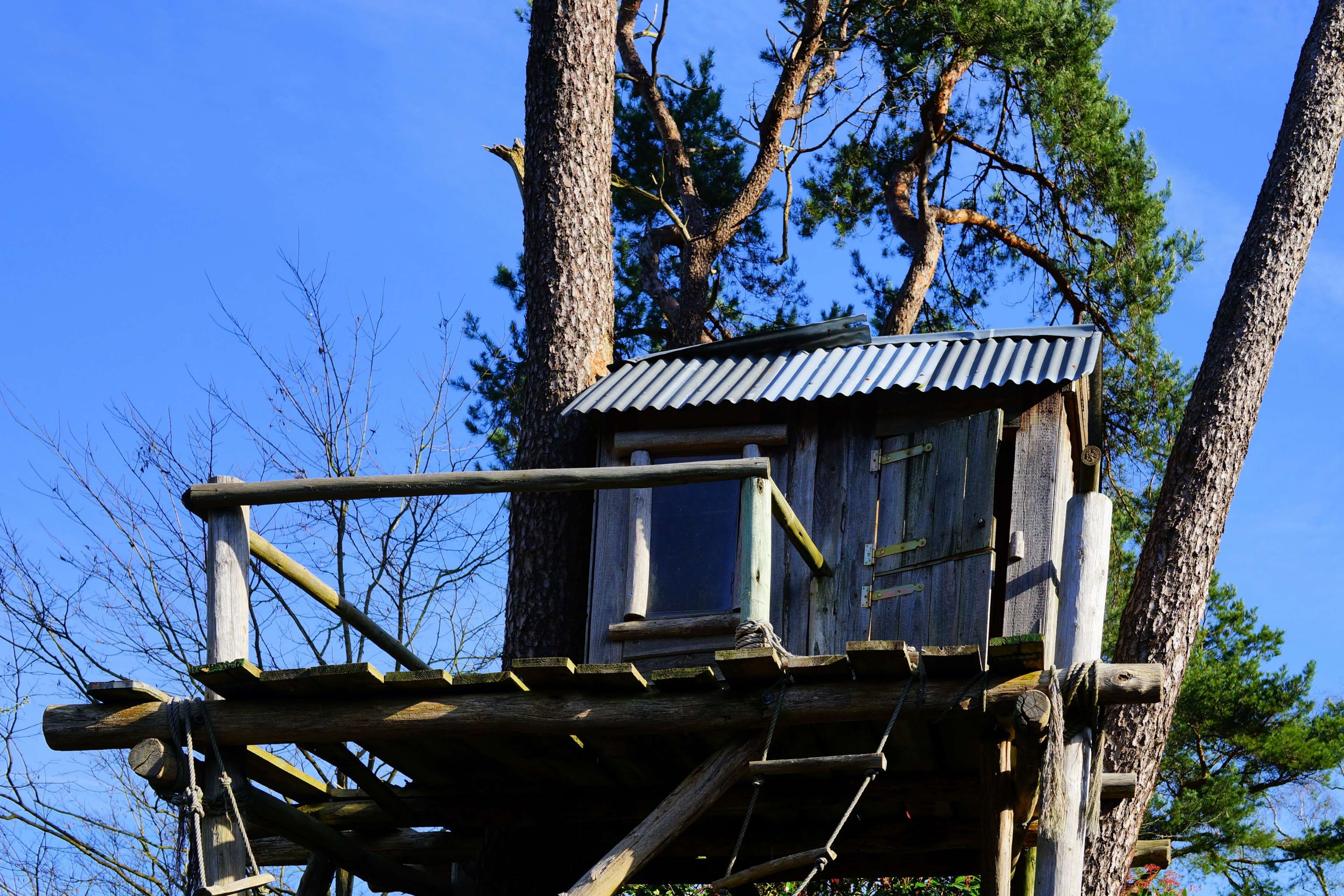 no people, outdoors, day, bare tree, ruined, damaged, plant, retreat, tree, wood - material, low angle view, blue, abandoned, play, architecture, sky, observation tower, HD Wallpaper