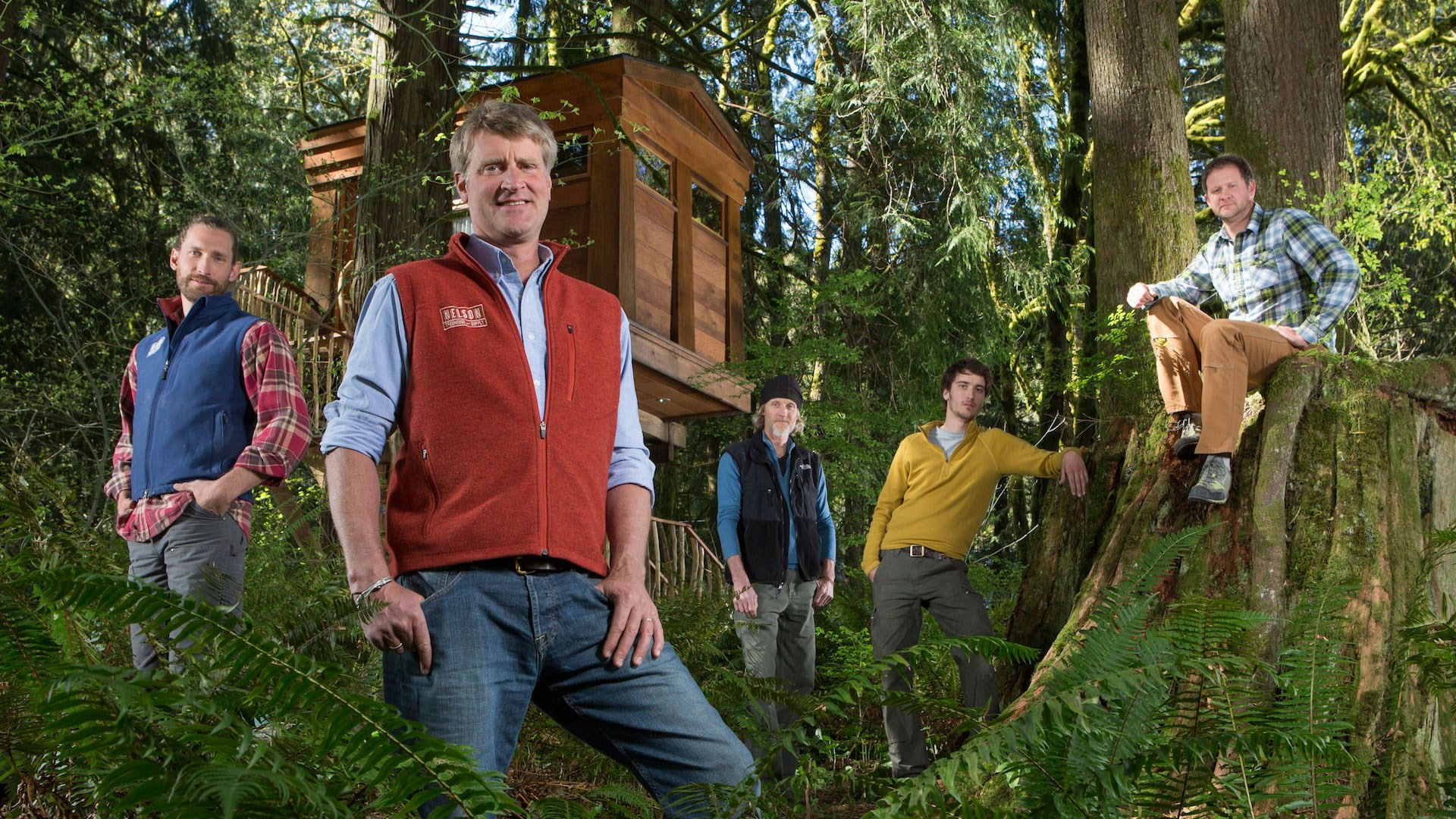 casual clothing, lifestyles, mature men, tree, women, males, group of people, 1080P, leisure activity, young adult, togetherness, treehouse masters, adult, HD Wallpaper