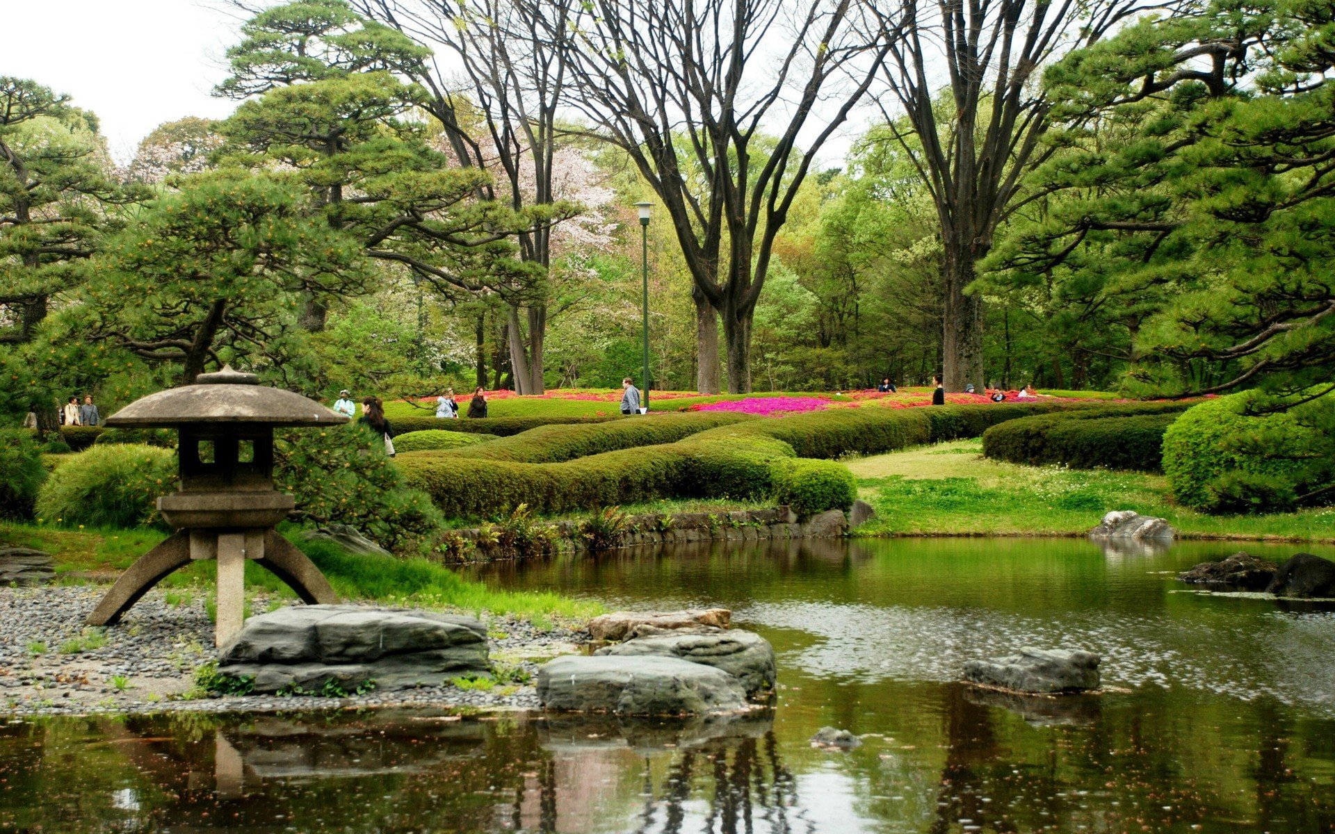 water, spring, japan, japanese, 1080P, gardens, trees, flowers, HD Wallpaper