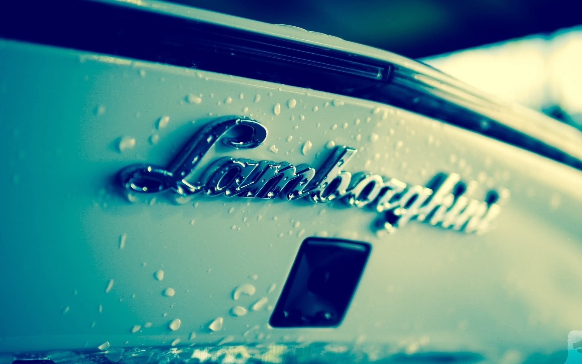 no people, nature, car, blue, lamborghini, green color, drop, emblem, extreme close-up, wet, technology, selective focus, backgrounds, metal, full frame, HD Wallpaper