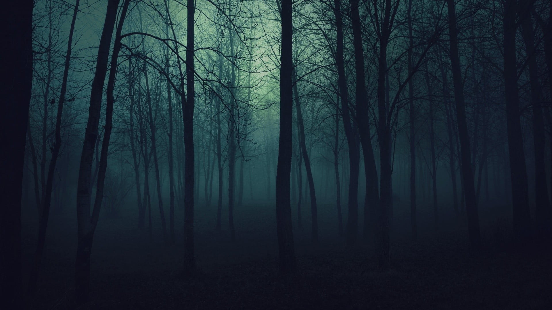 trunk, no people, tranquil scene, tree, scenics - nature, spooky, beauty in nature, silhouette, plant, trees, forest, bare tree, hazy, tree trunk, nature, HD Wallpaper