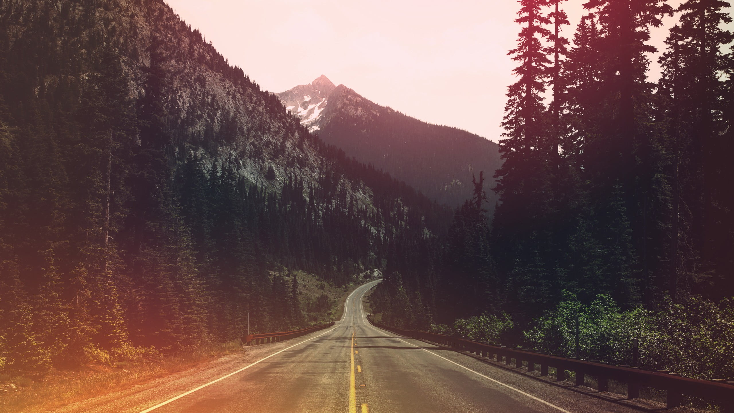 transportation, diminishing perspective, road marking, 2K, tranquility, leafed, green, beauty in nature, direction, lights, no people, mountain, tranquil scene, HD Wallpaper