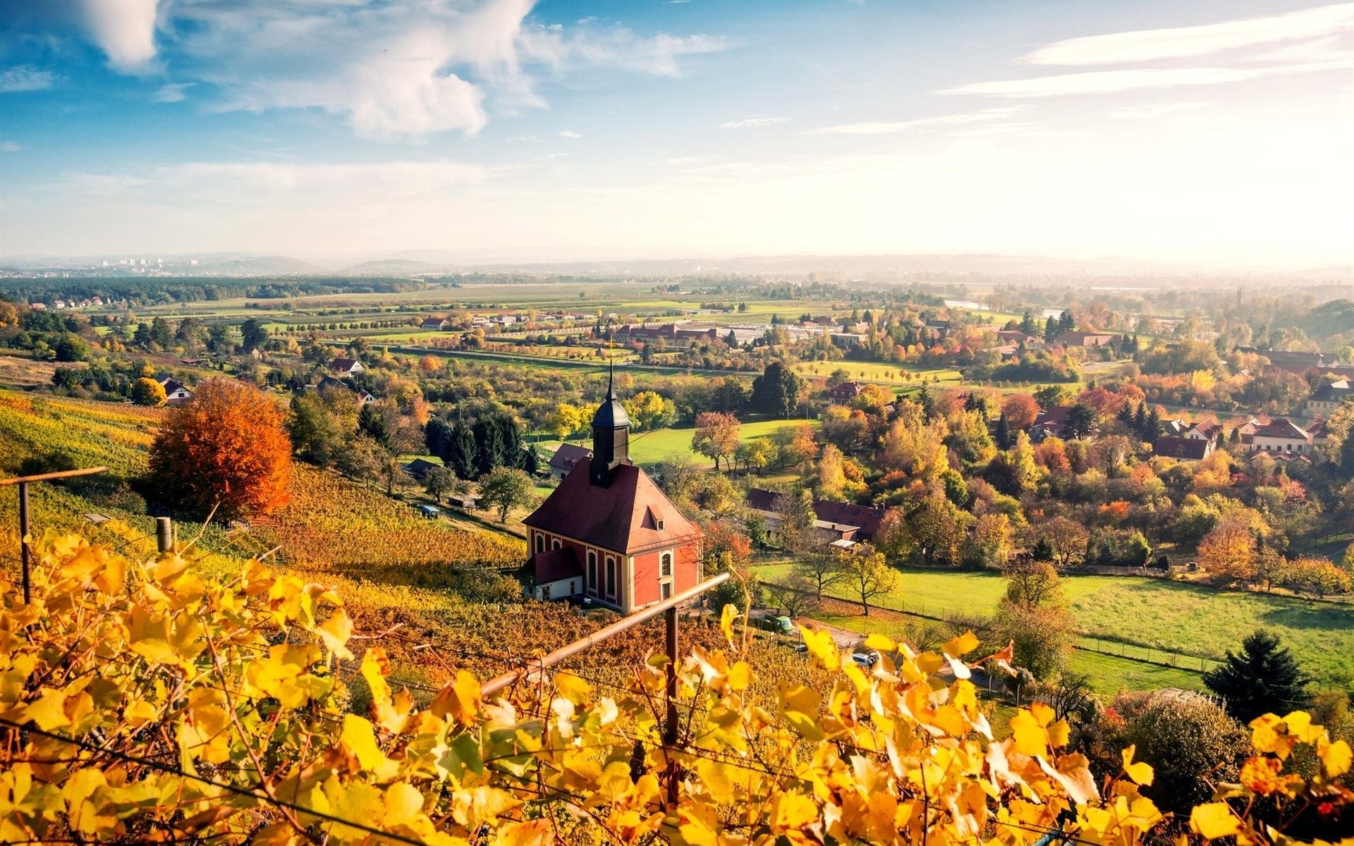 Leaves, Dresden, 1080P, City, Autumn, Houses, Germany, Trees, HD Wallpaper