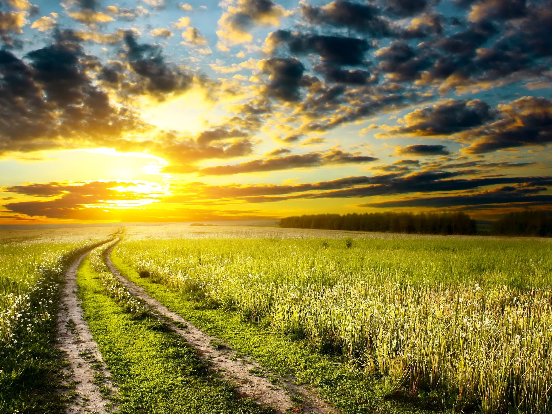 wide, Clouds, Sunrise, Grass, Meadow, Sky, Summer, Road, Early, 1080P, field, HD Wallpaper