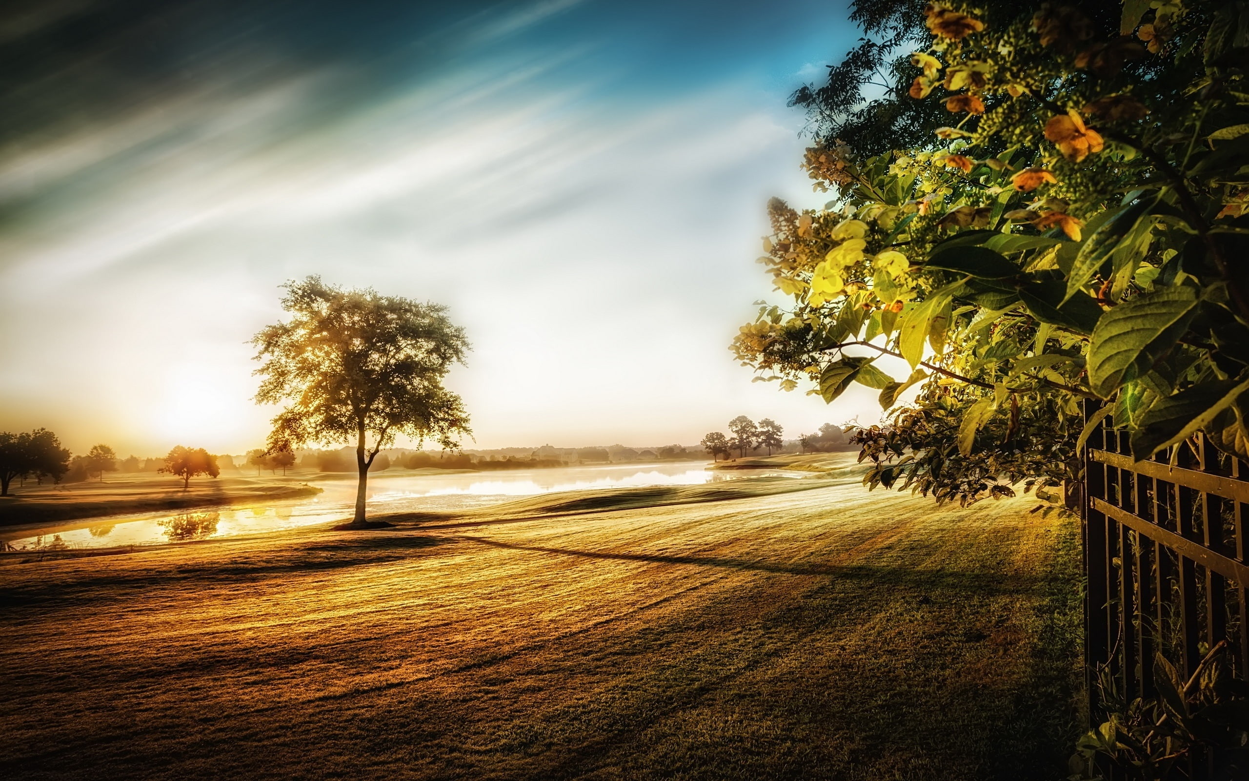 Trees, Morning, Fog, Grass, 2K, Fence, River, Light, HD Wallpaper