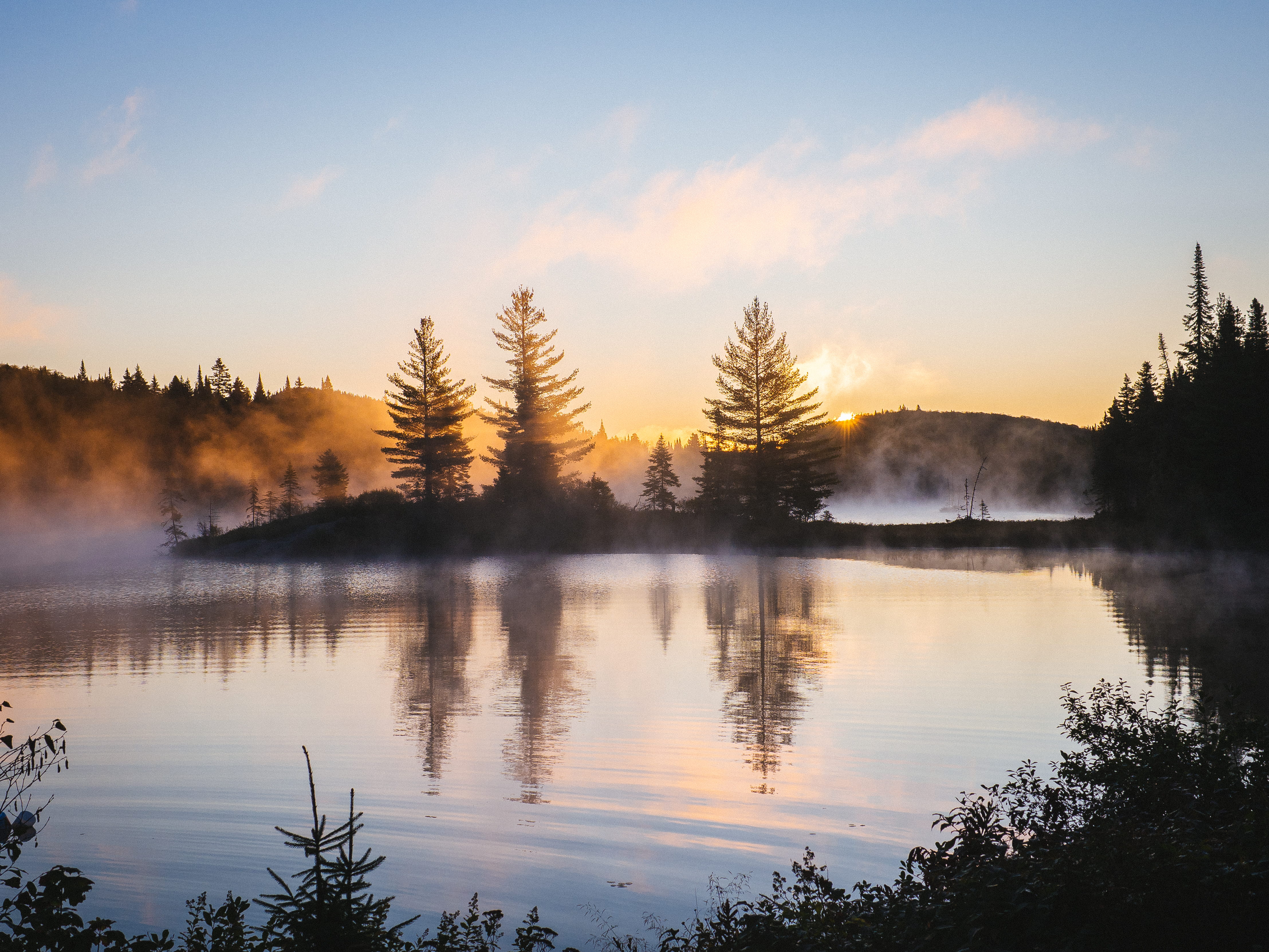 no people, misty, water, near, lakeside, fog, outdoors, trees, mist, sunrise, tranquility, sunrise - dawn, body, woodland, tree, early morning, coniferous tree, HD Wallpaper