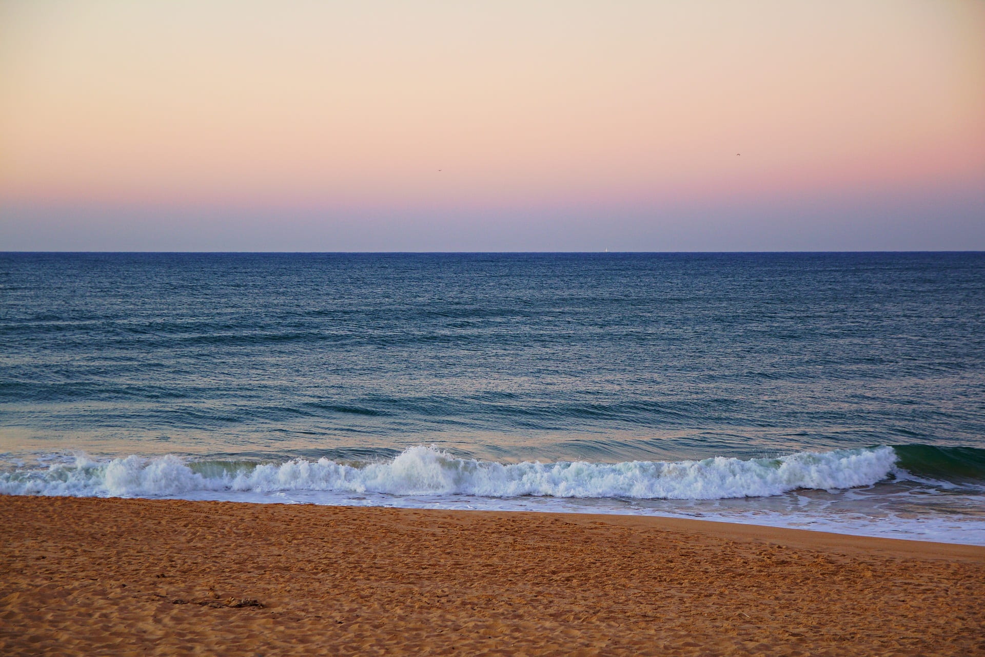 swim, water, in the morning, dawn, holiday, early in the morning, wave, maritime, atmospheric, surfing, sun, sport, empty beach, ocean, atlantic, aquatic sport, HD Wallpaper