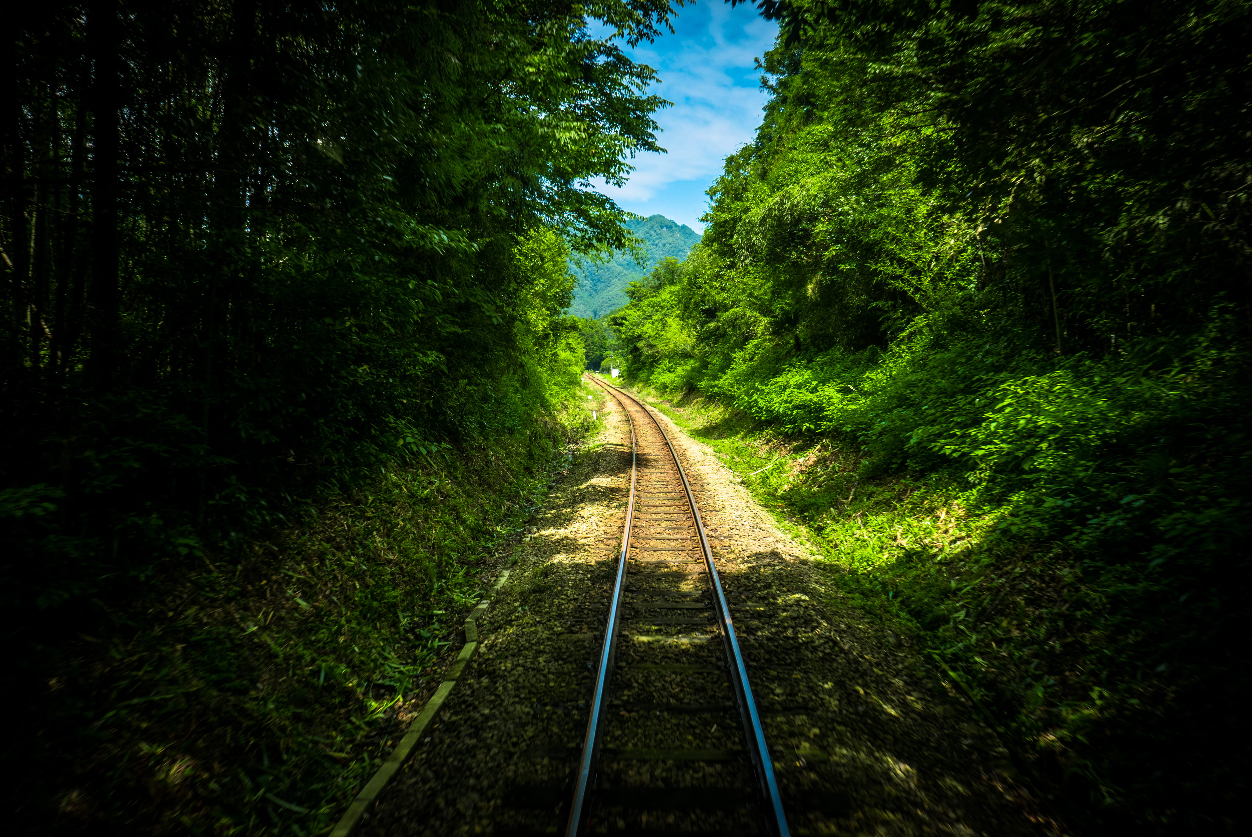 train, green color, diminishing perspective, no people, japan, rail transportation, the way forward, trees, gifu prefecture, day, outdoors, railroad track, HD Wallpaper