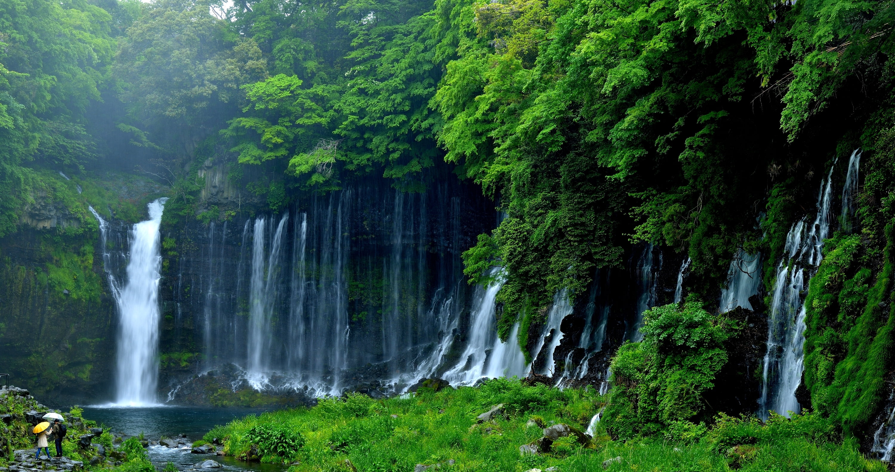 nature, splashing, flowing water, Japan, waterfall, trees, no people, outdoors, long exposure, green color, motion, Fujinomiya, scenics - nature, plant, HD Wallpaper